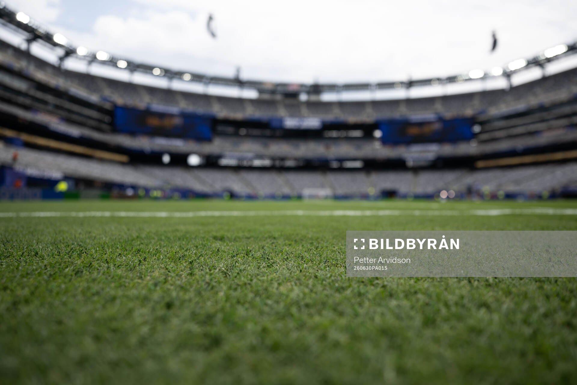 The pitch at New York New Jersey Arena