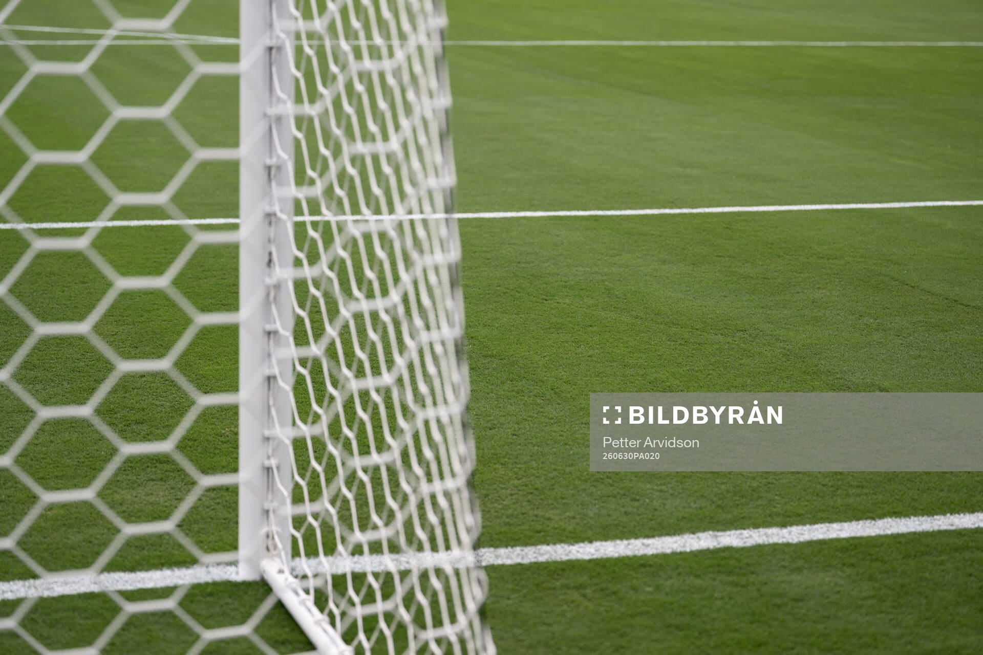 The pitch at New York New Jersey Arena