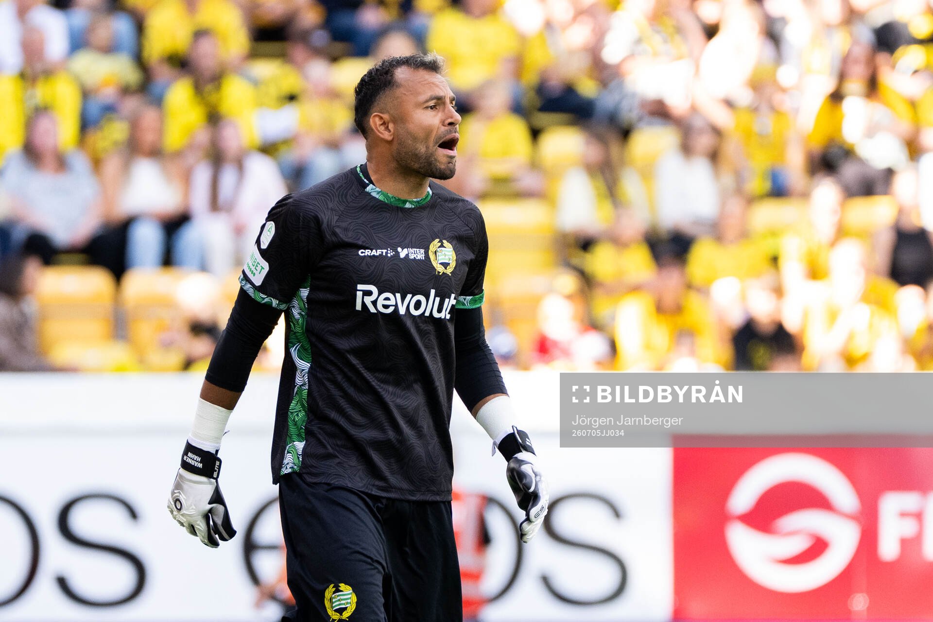 Hammarbys målvakt Warner Hahn
