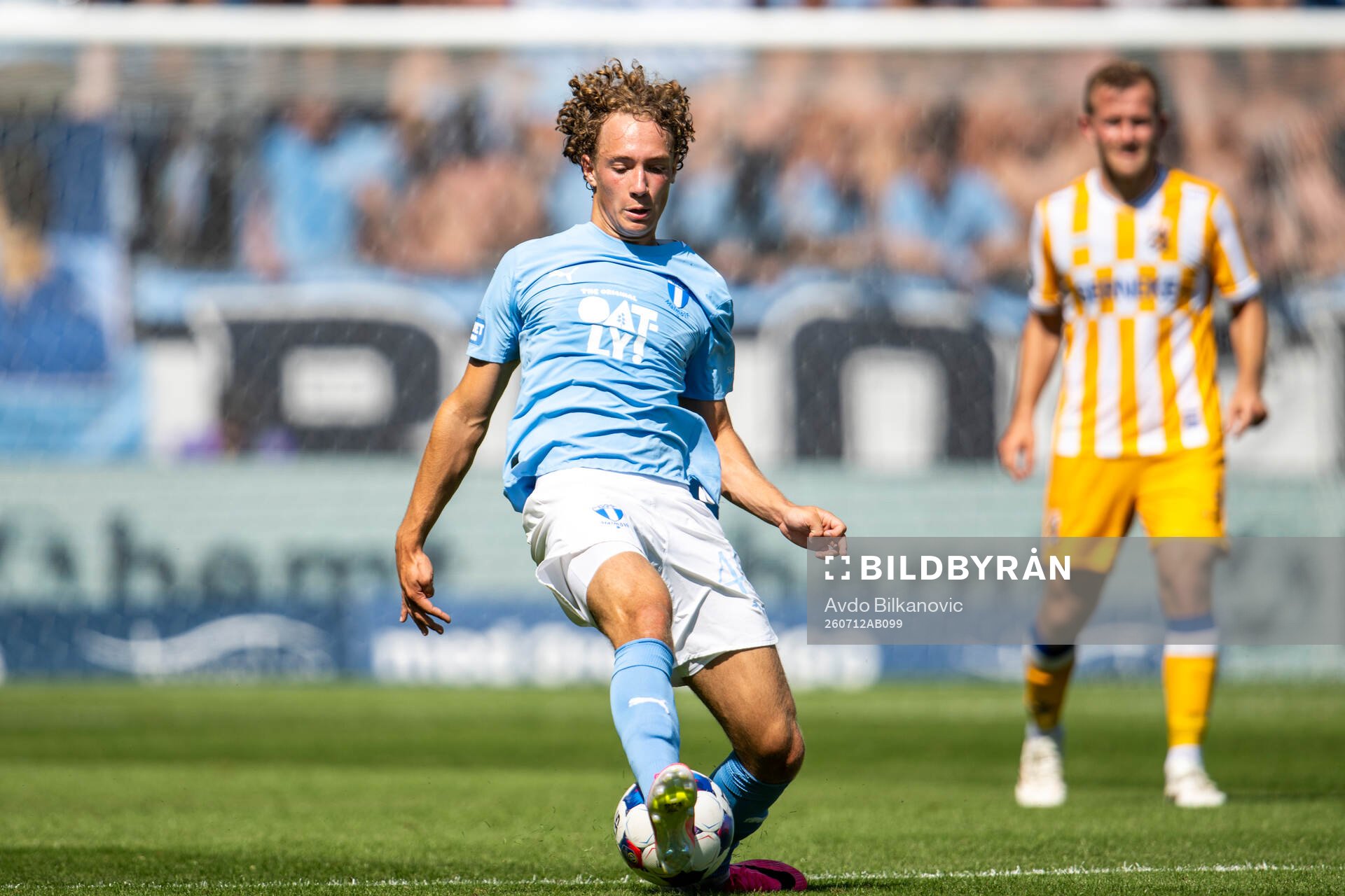 Malmö FFs Anton Höög