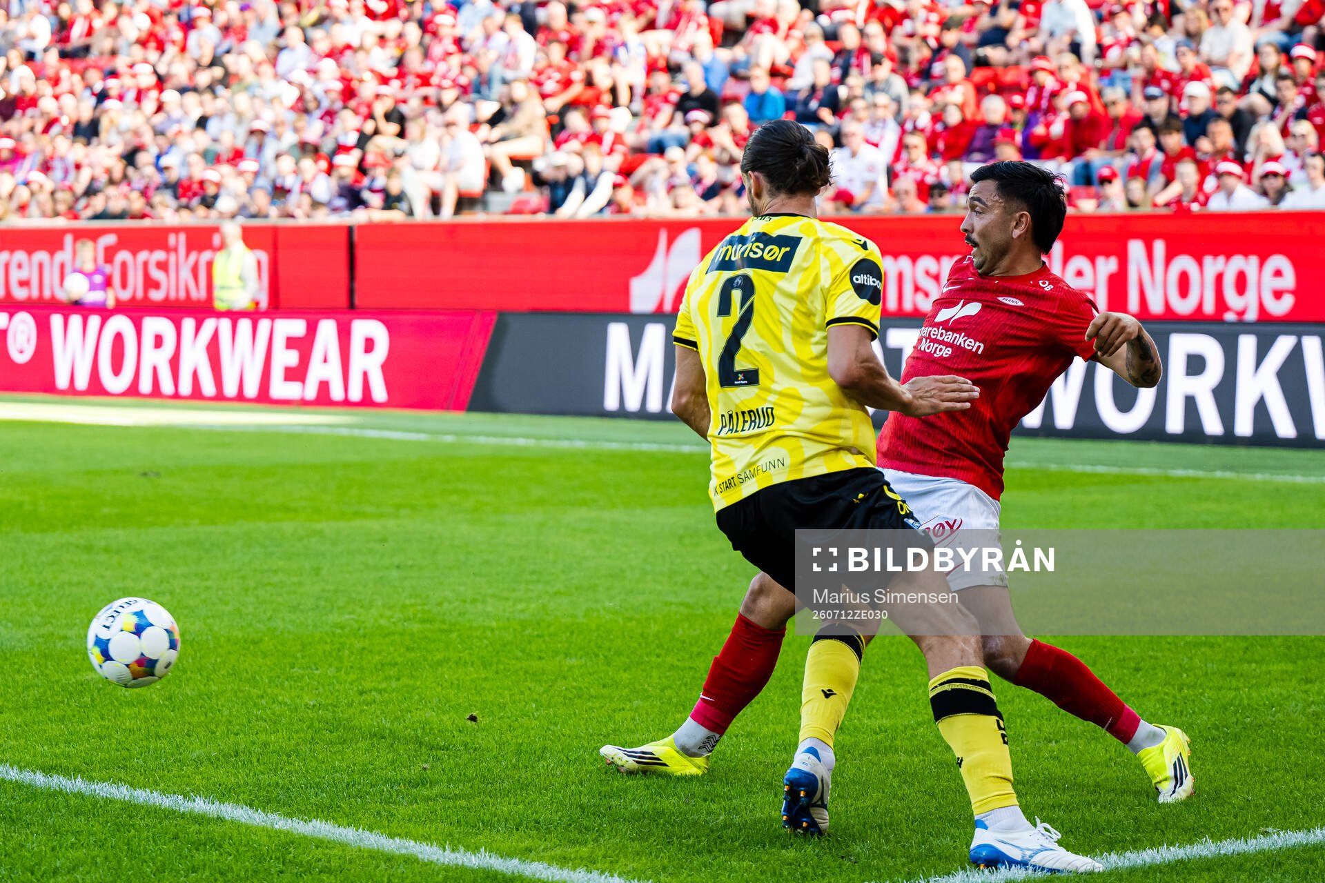 Niklas Castro of Brann