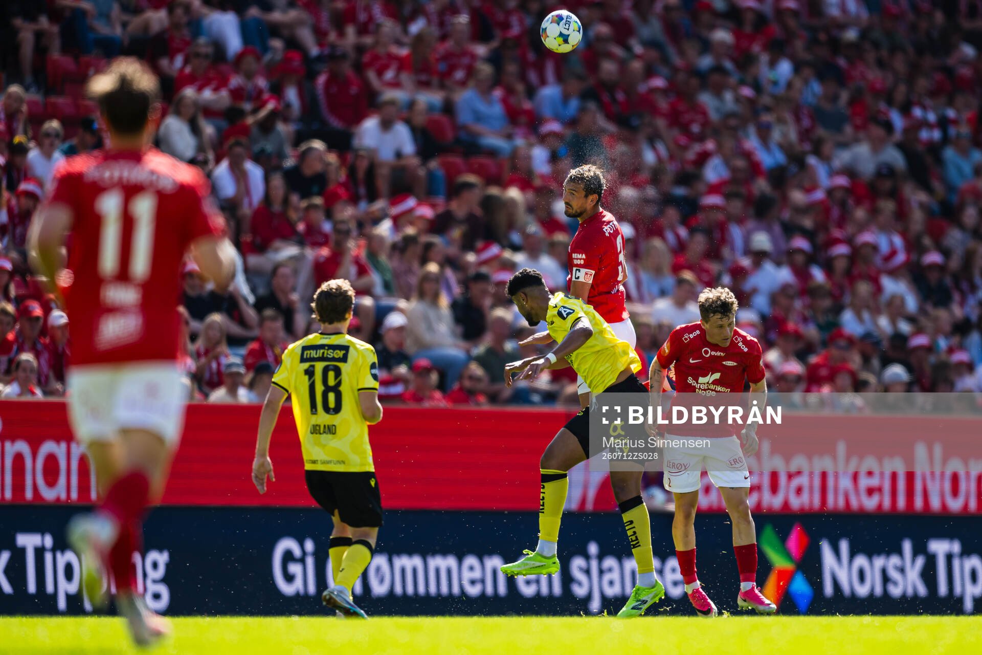 vFredrik Pallesen Knudsen of Brann