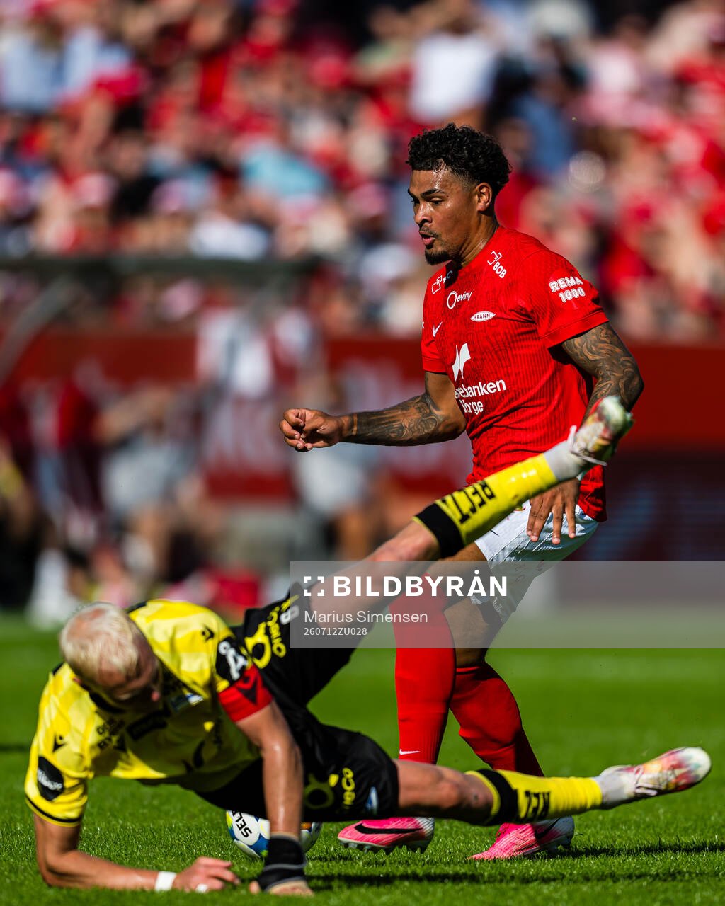 Noah Jean Holm of Brann