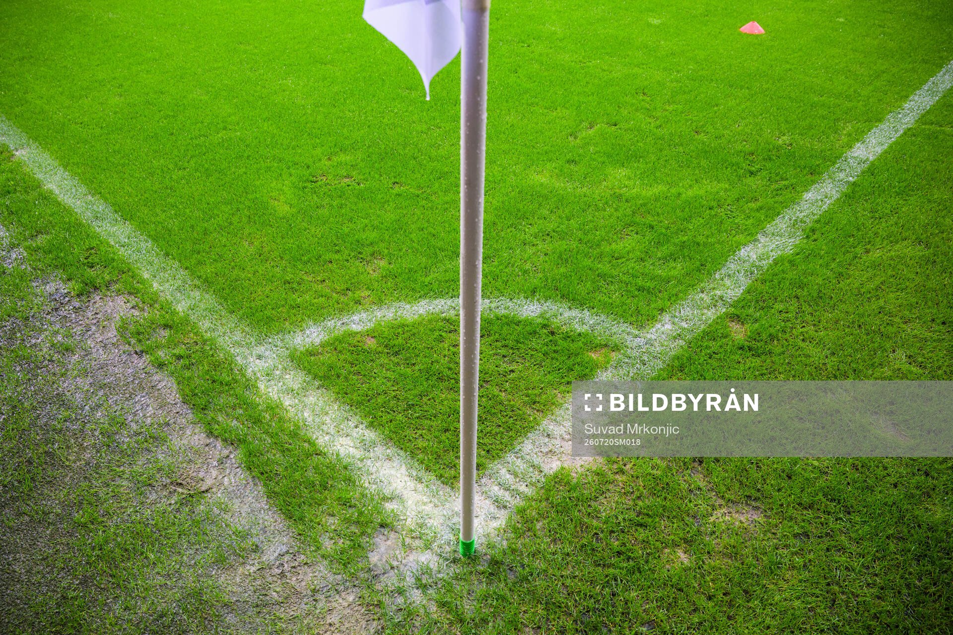 Gräset på Guldfågeln Arena