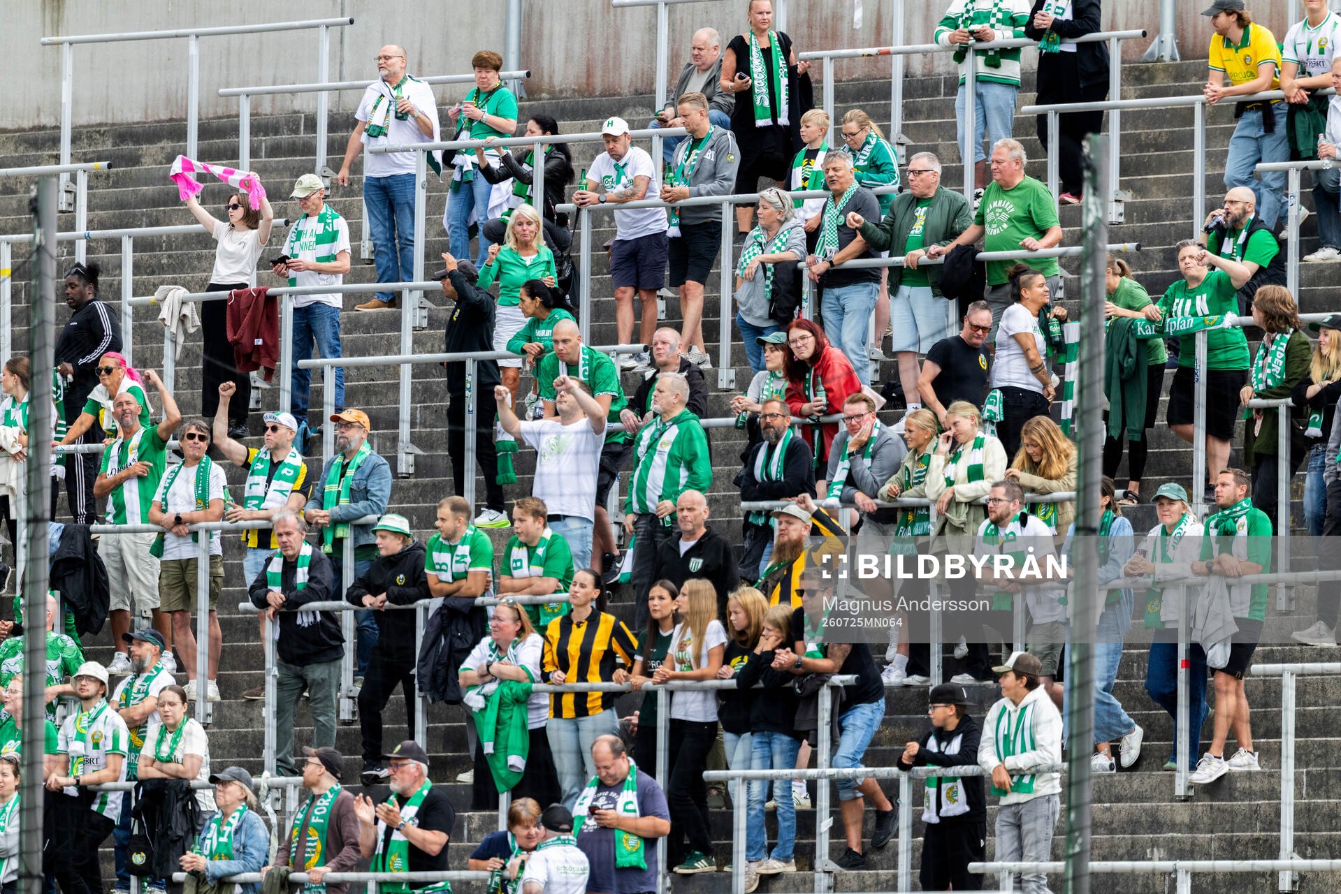 Hammarbys supportrar