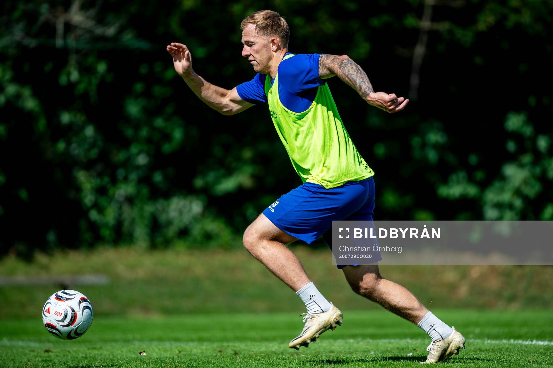 Jesper Modig