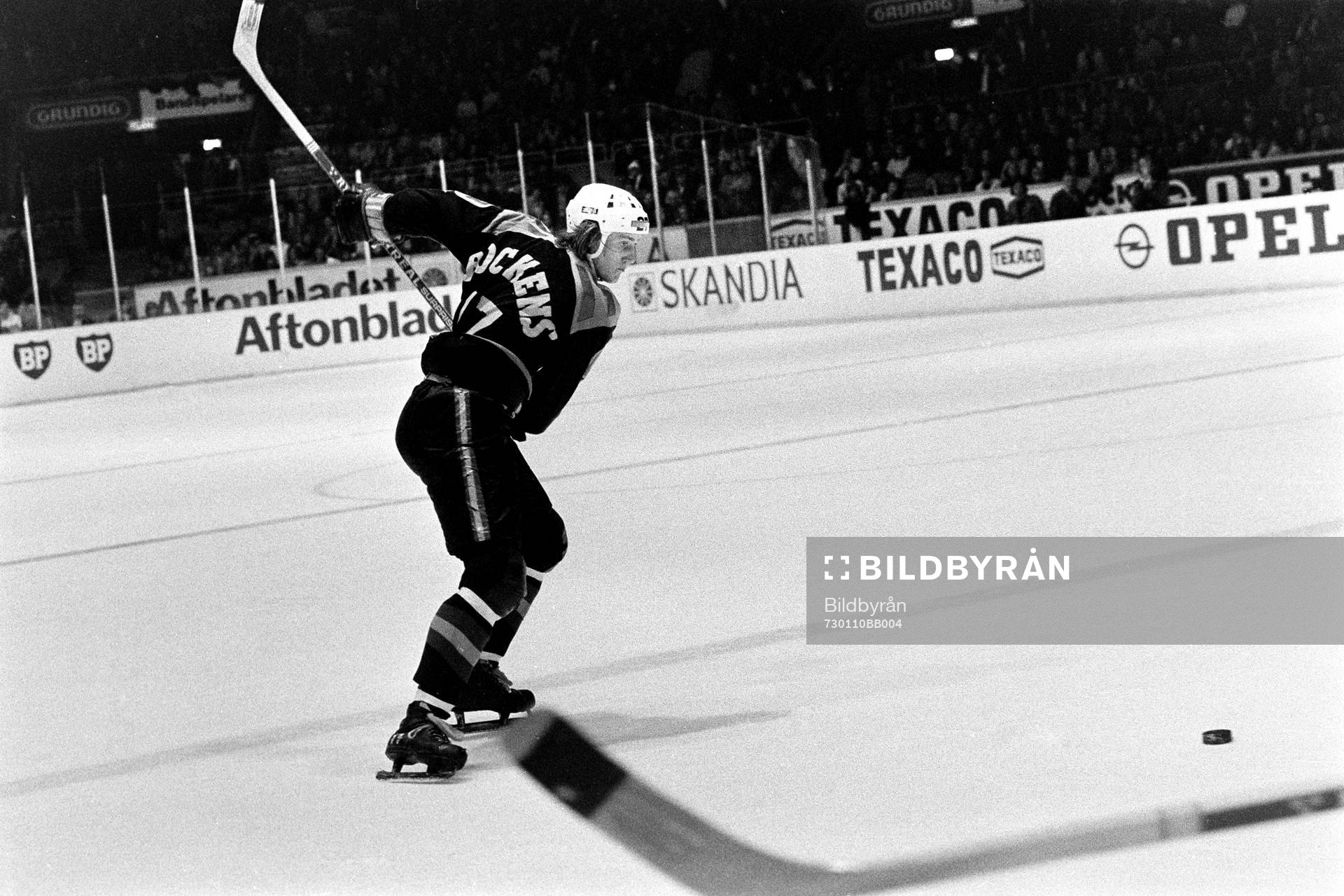 Börje Salming, Brynäs i skottagen