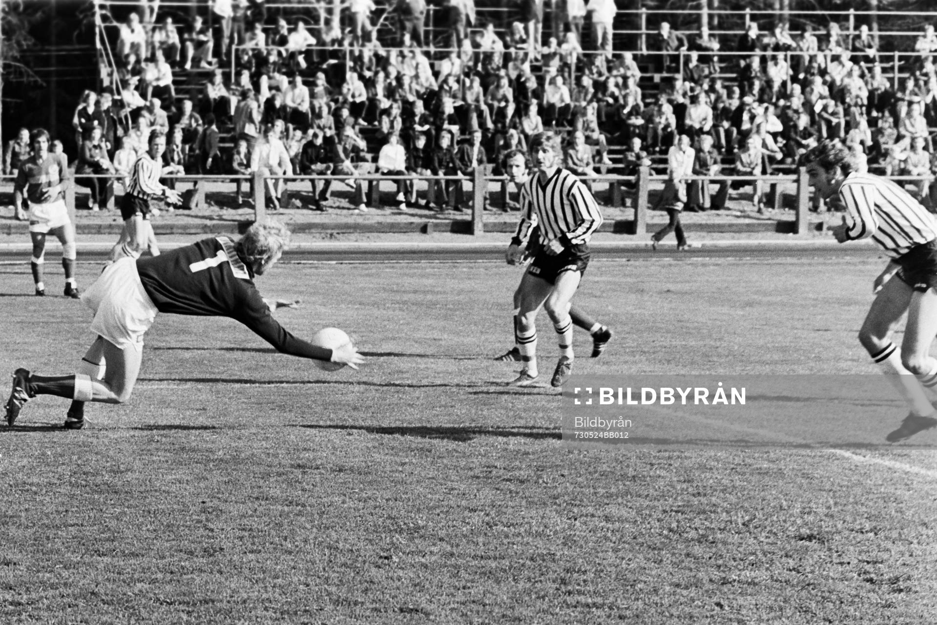 Claes Flink, målvakt i Hässleholm