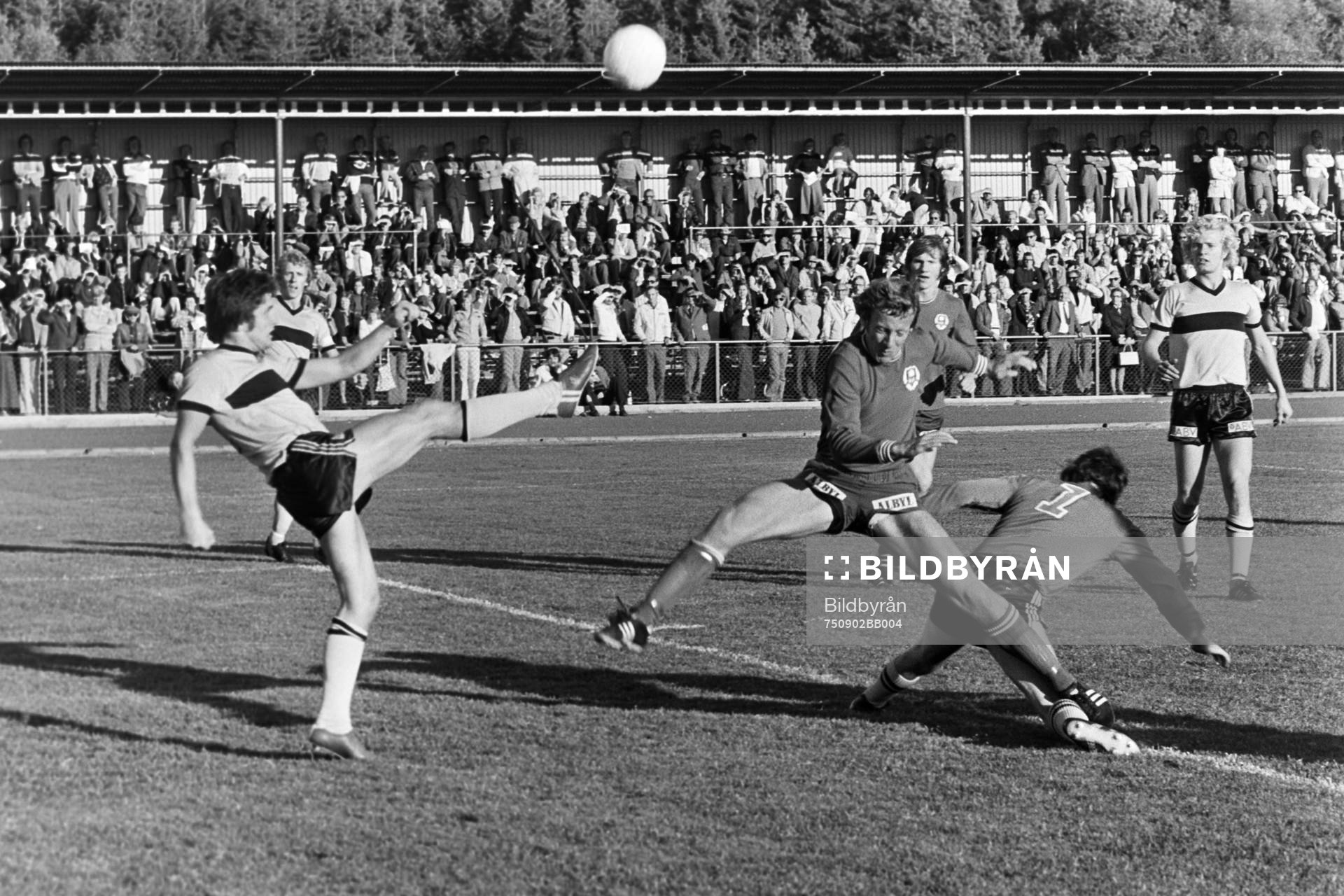 Leif Augustsson, Hässleholm rensar framför helsingborgs
