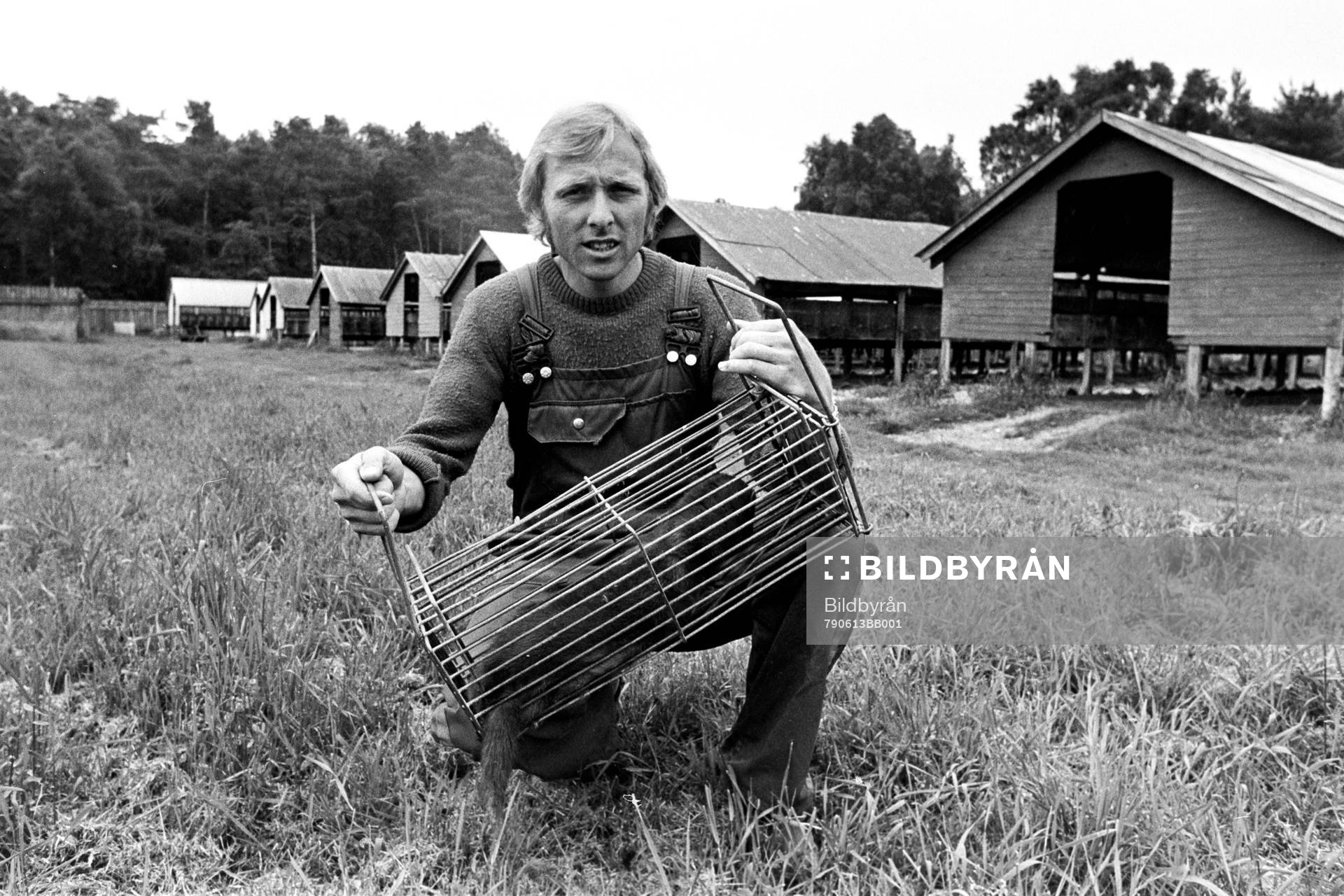 Sven-Bertil Andersson med minkbur