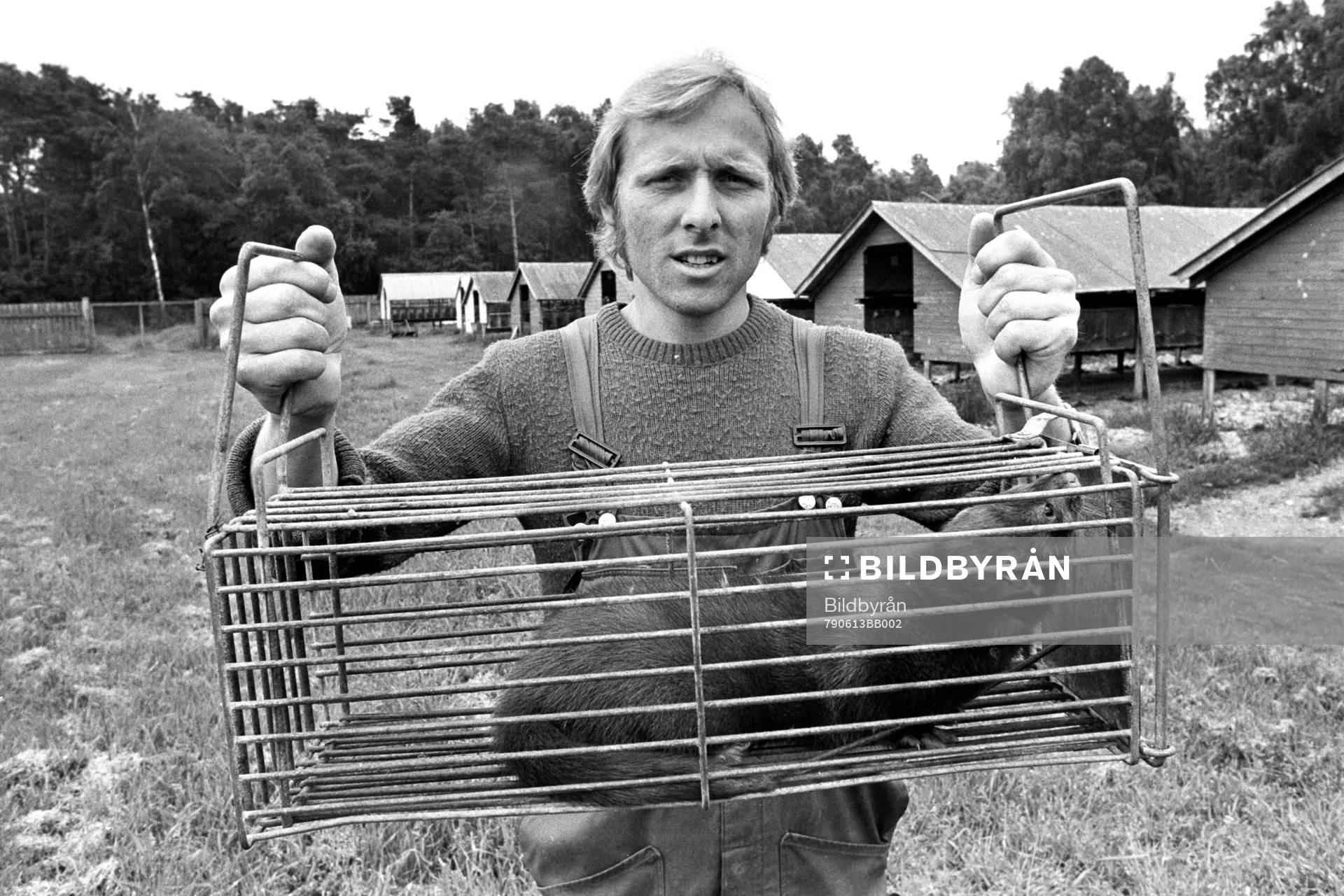 Sven-Bertil Andersson med minkbur