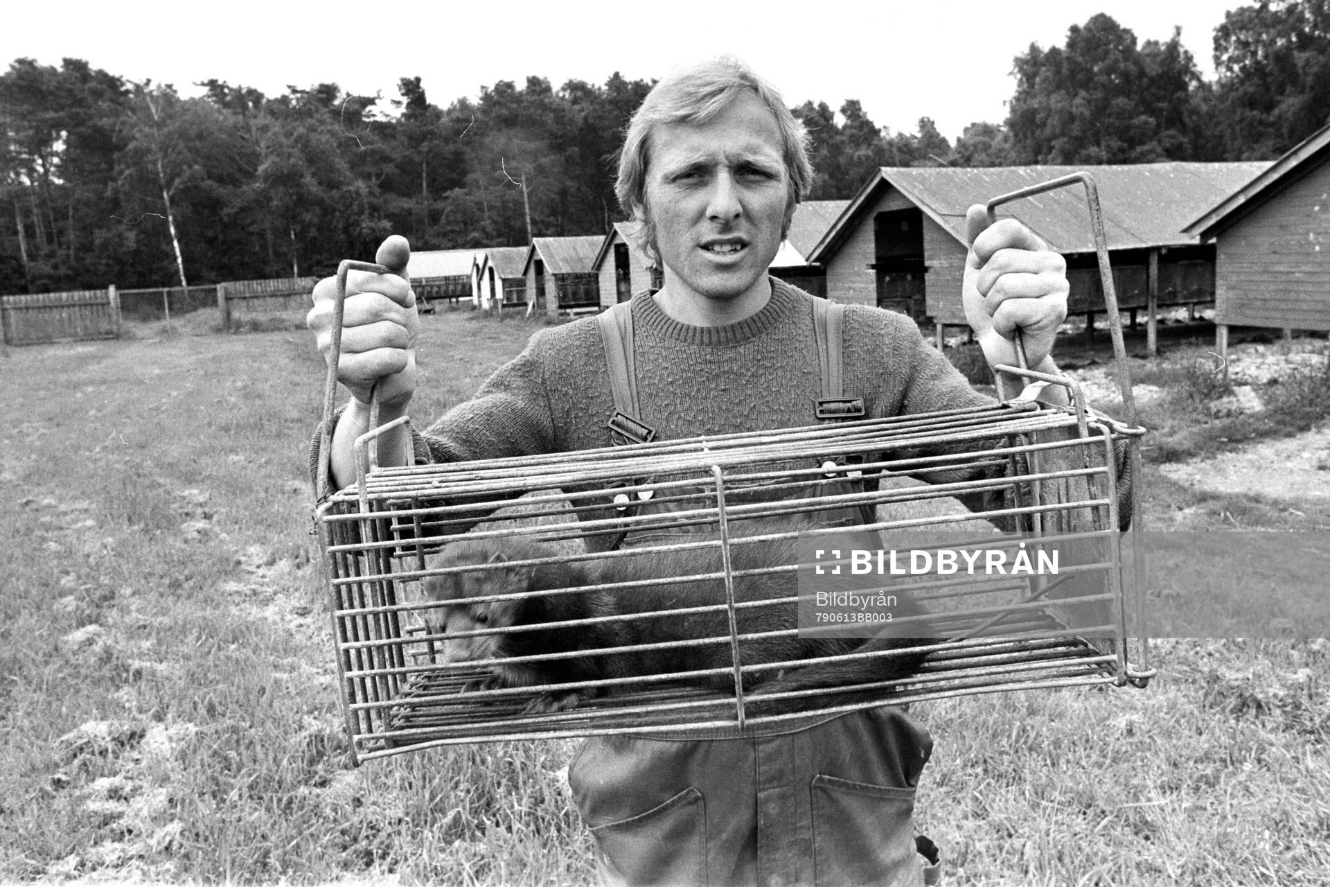 Sven-Bertil Andersson med minkbur