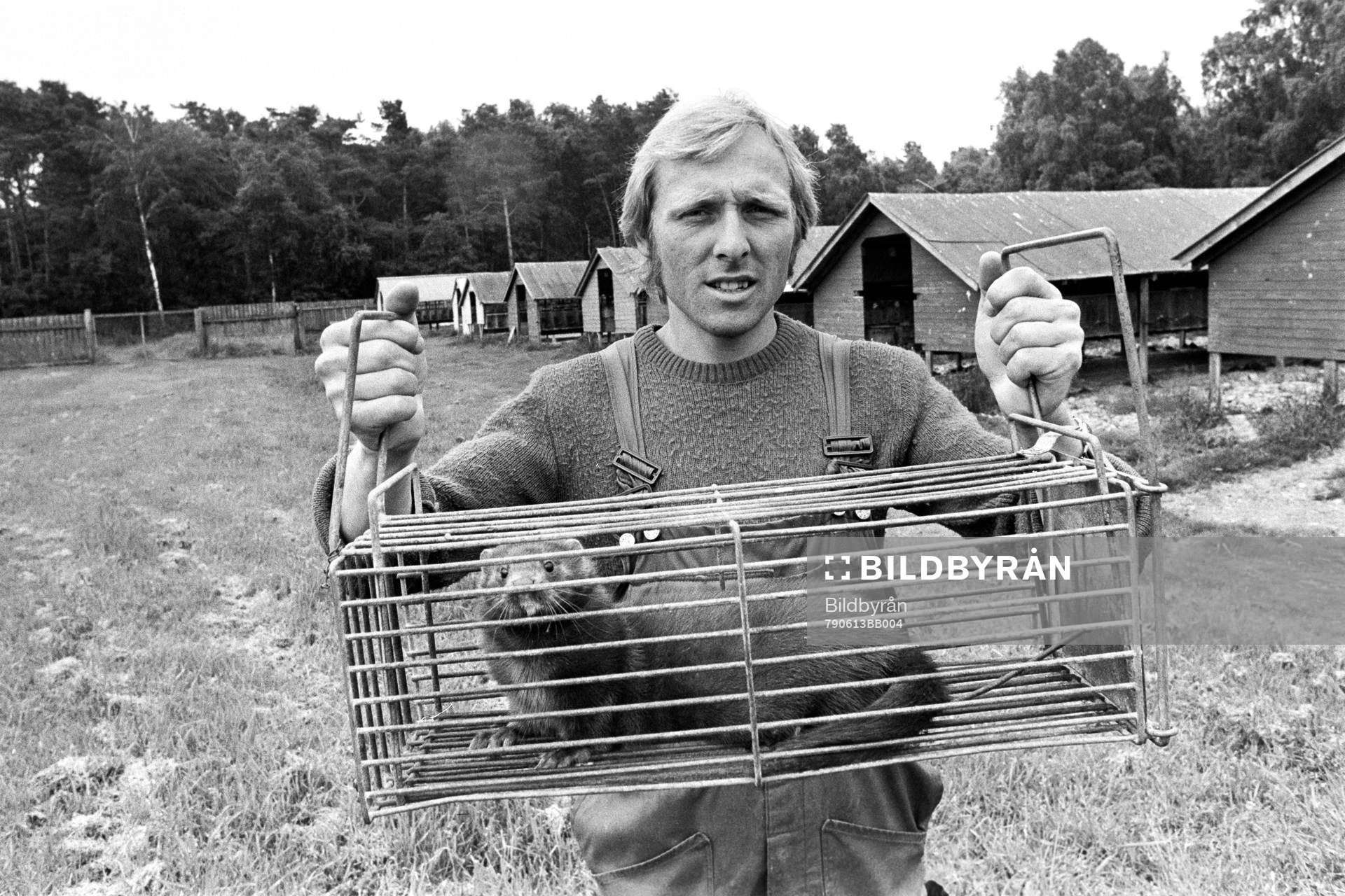 Sven-Bertil Andersson med minkbur