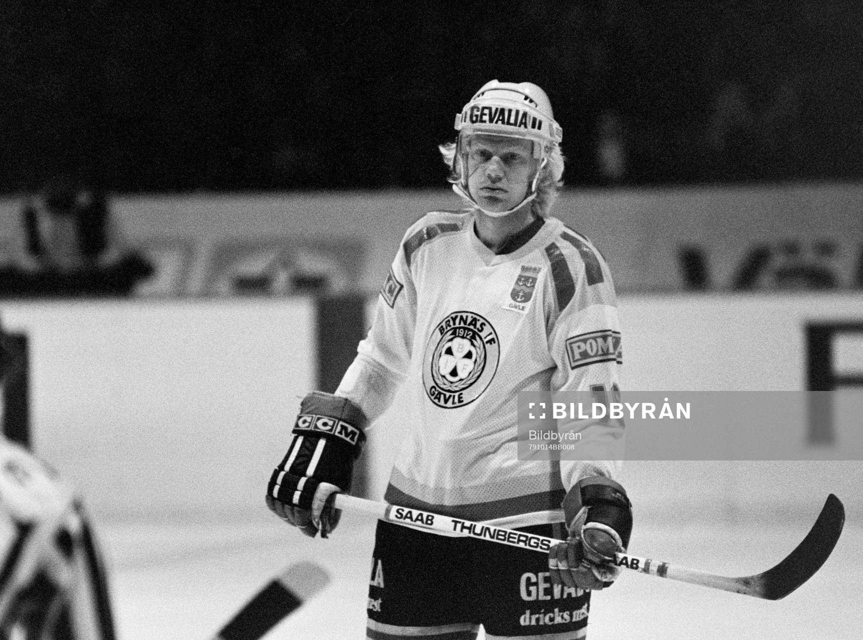 Lars-Göran Gerdin, Brynäs
