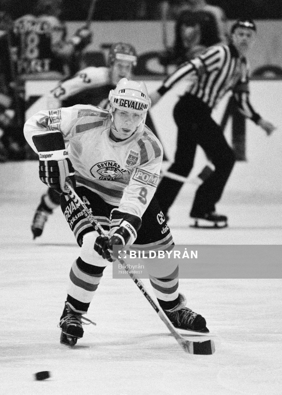Mats Näslund, Brynäs