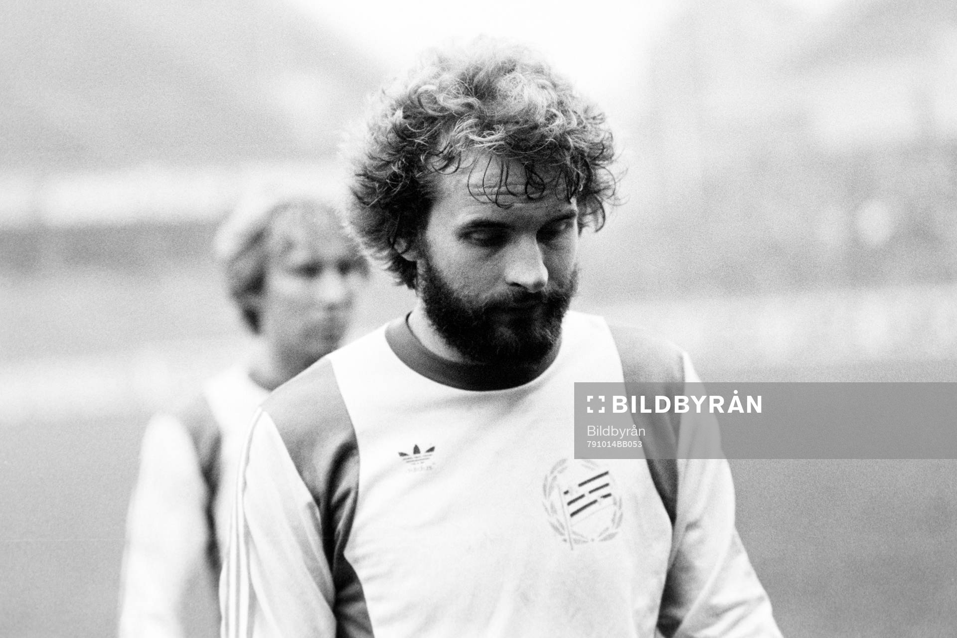 Mats Werner, Hammarby deppar