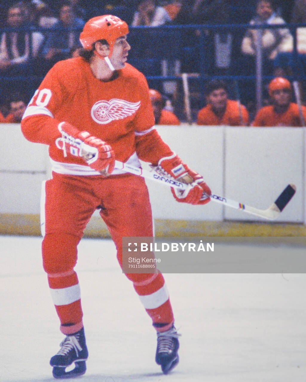 Ice Hockey, NHL 1979-1980, Washington Capitals - Detroit