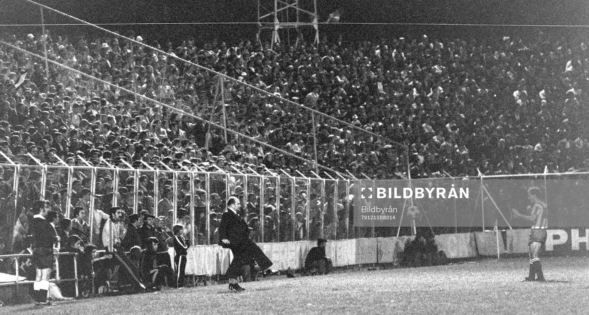 Fans at La Rosaleda stadium in Malaga