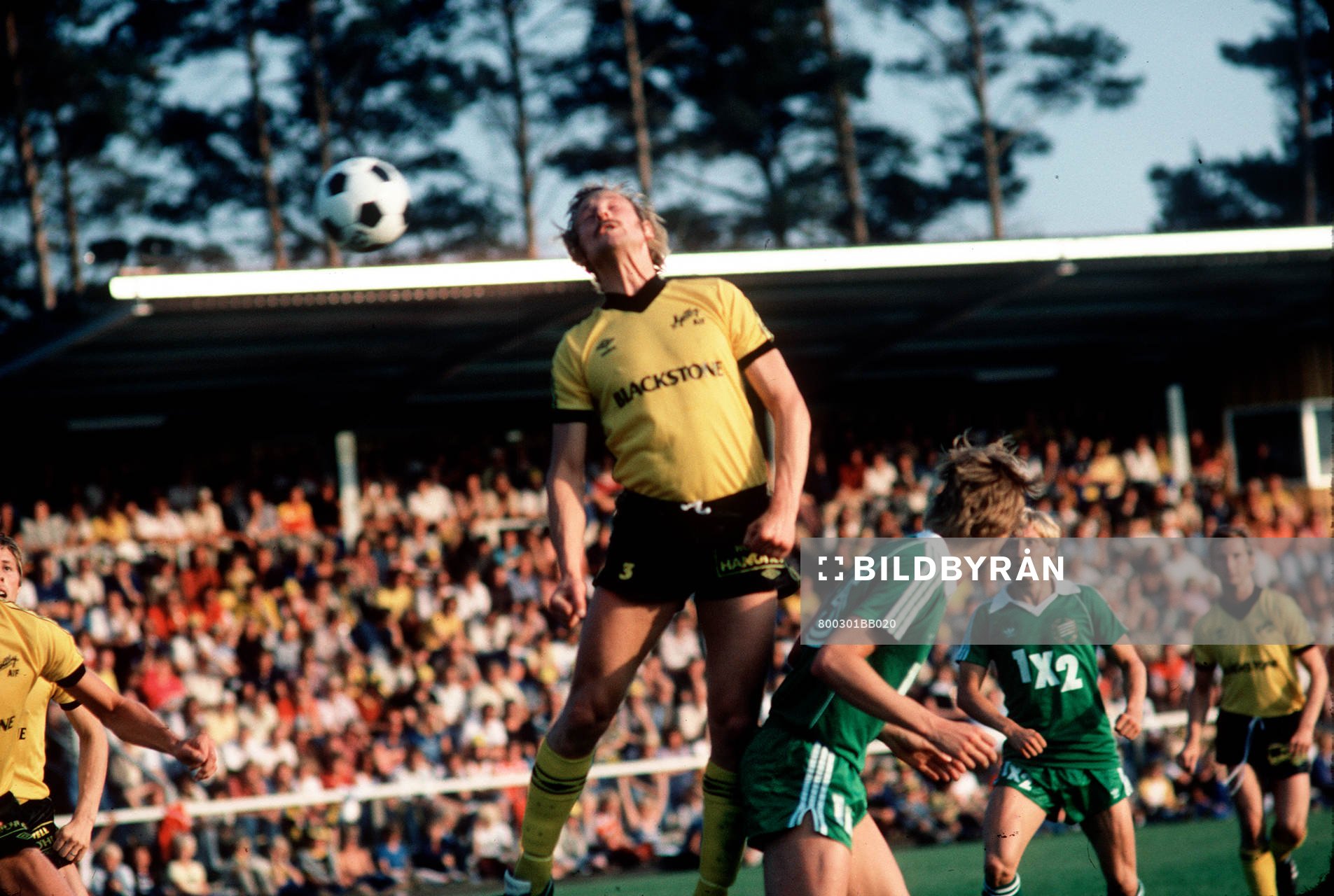 Rolf-Inge Andersson
