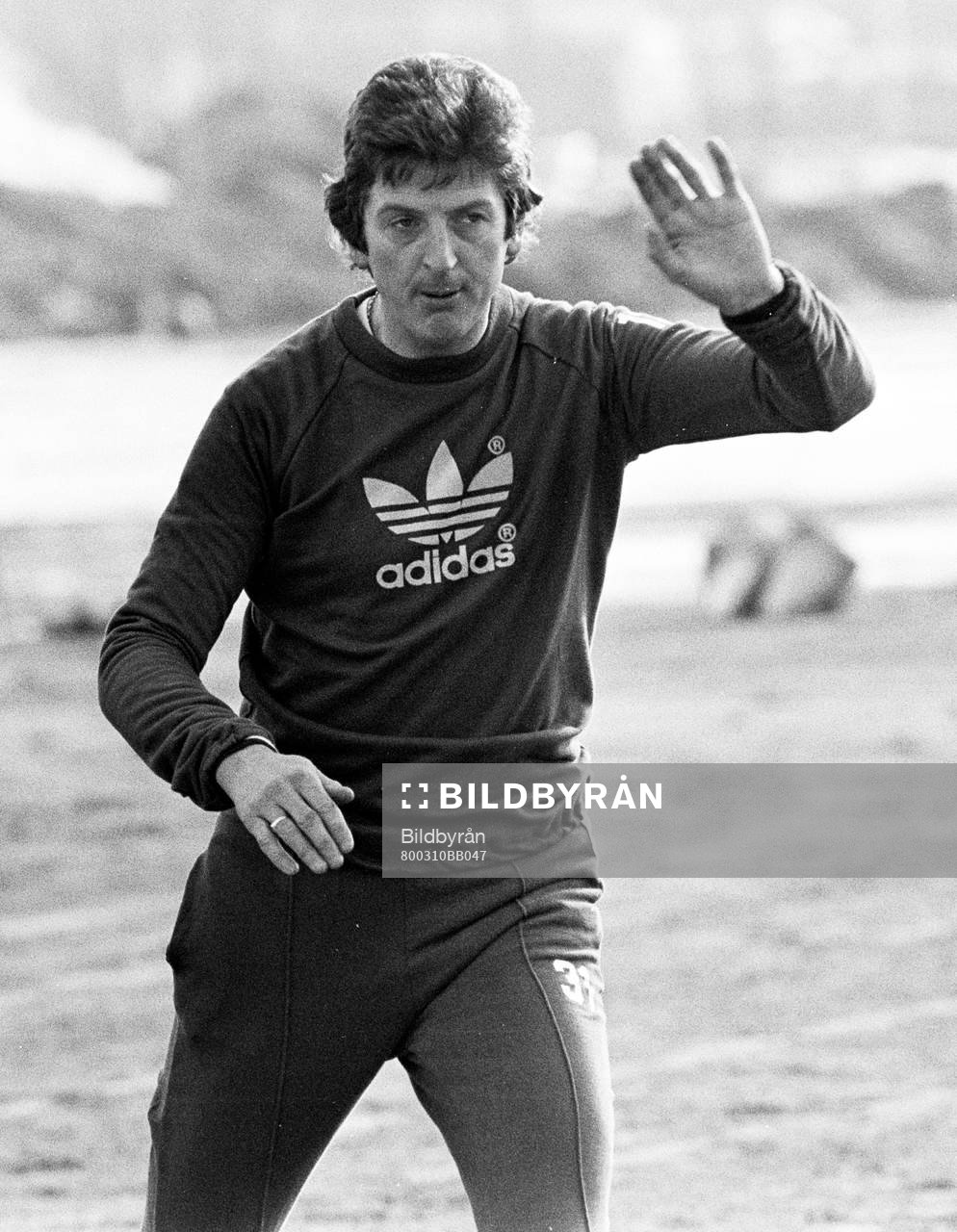 Roy Hodgson, tränare