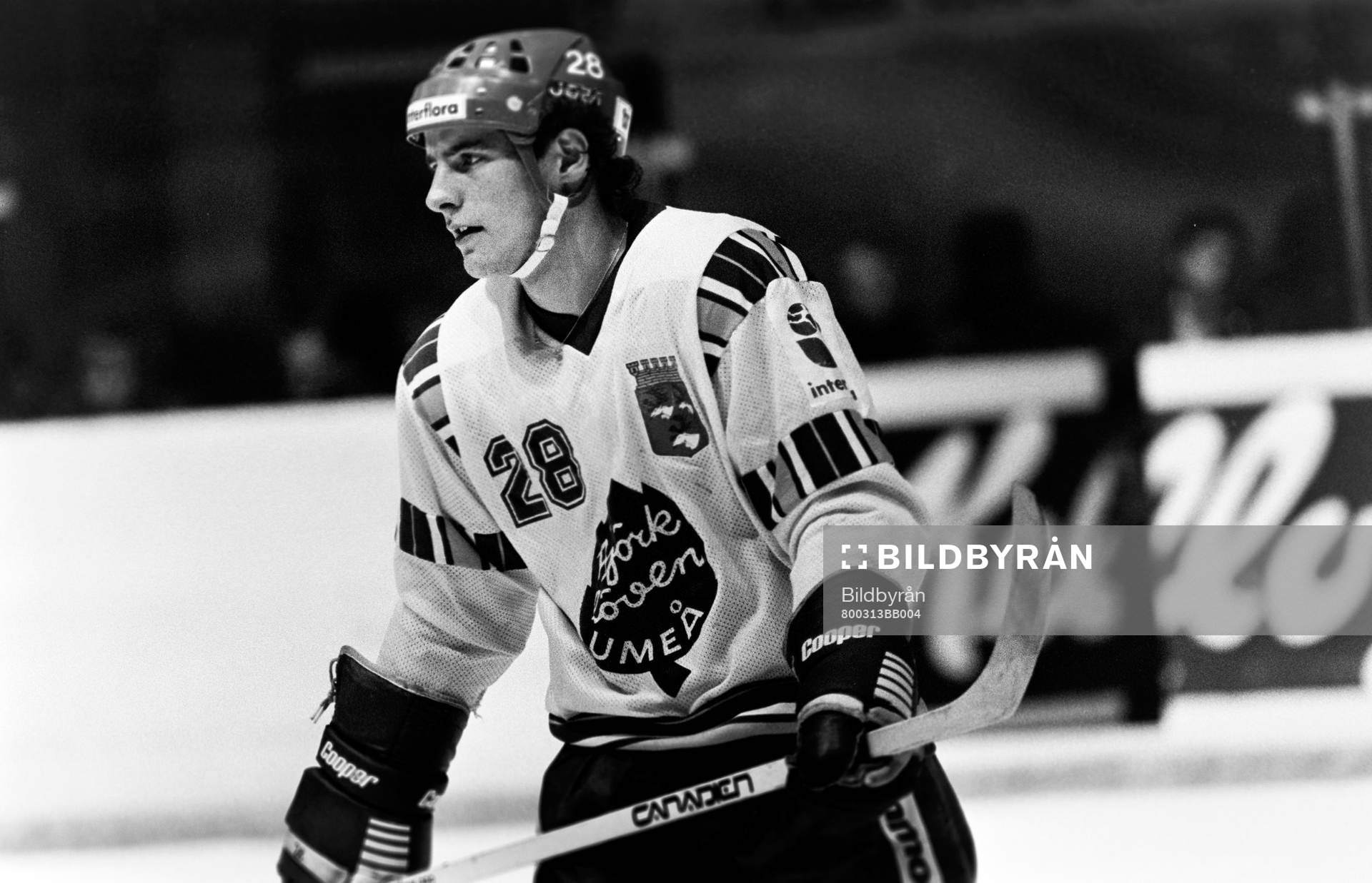 Björn Bergius, Björklöven