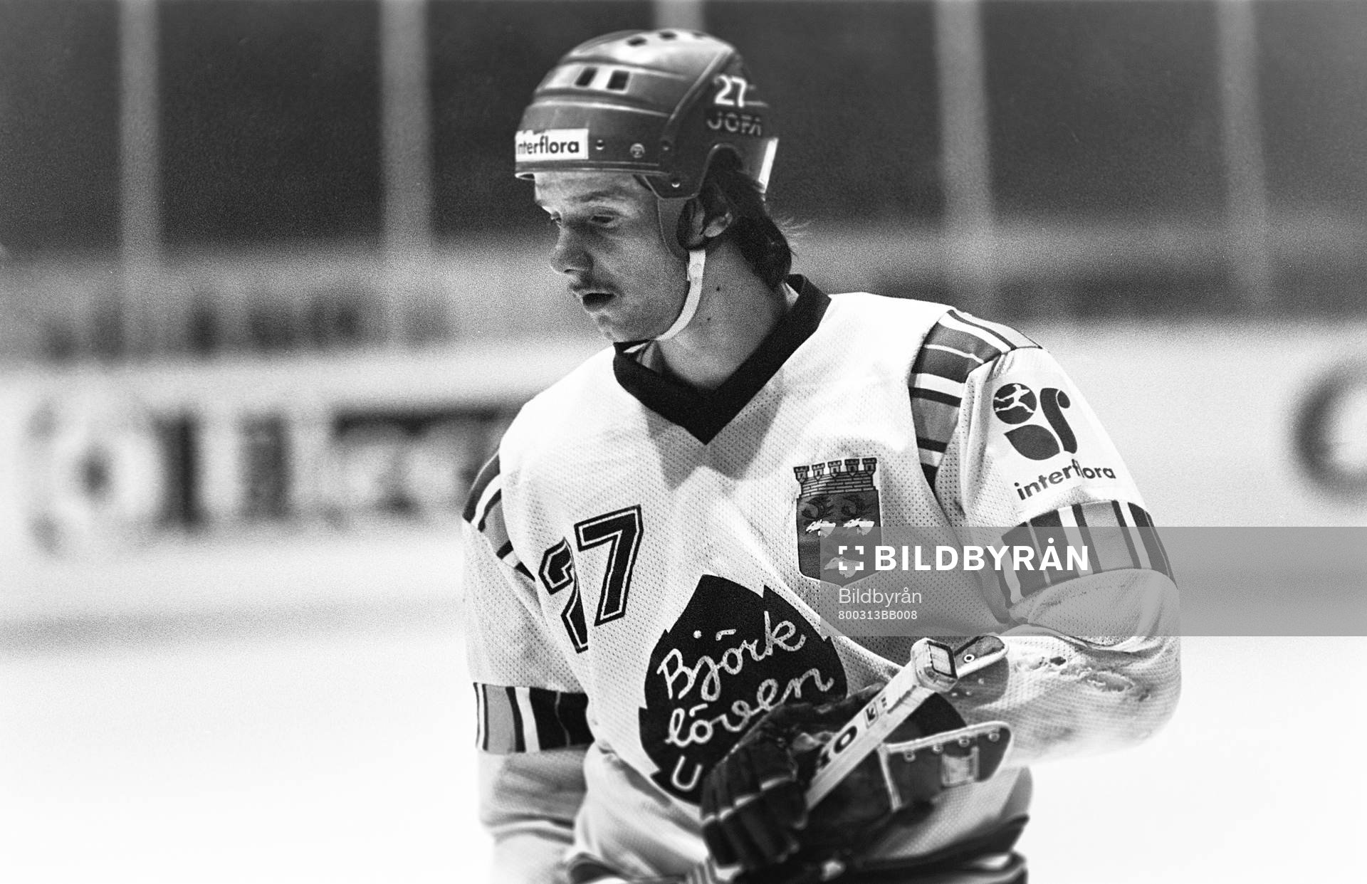 Tore Öqvist, Björklöven