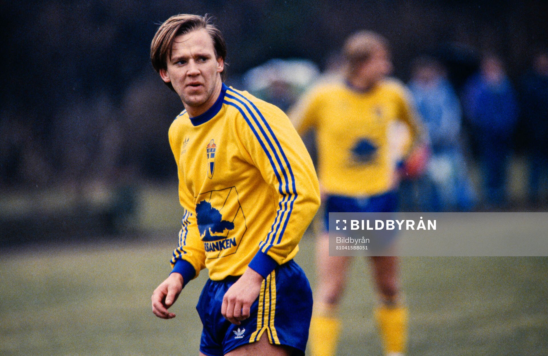 Dan Corneliusson