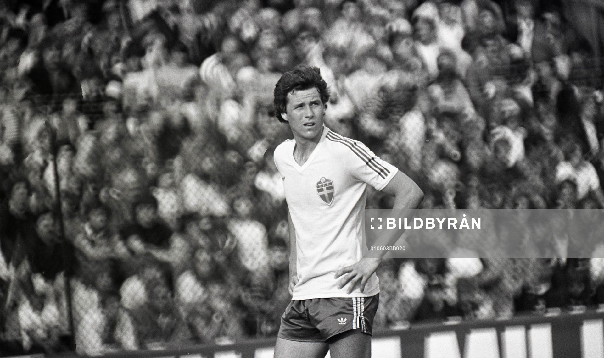 Glenn Hysen