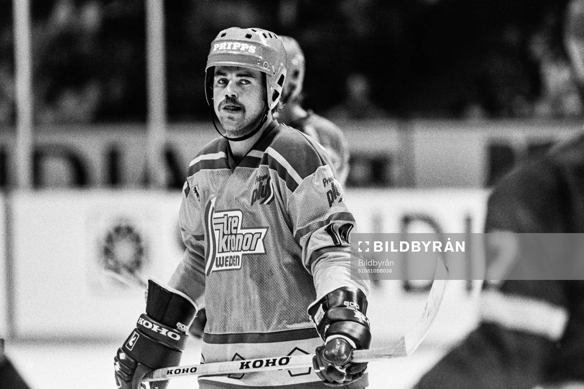 Kent Nilsson, Sverige
