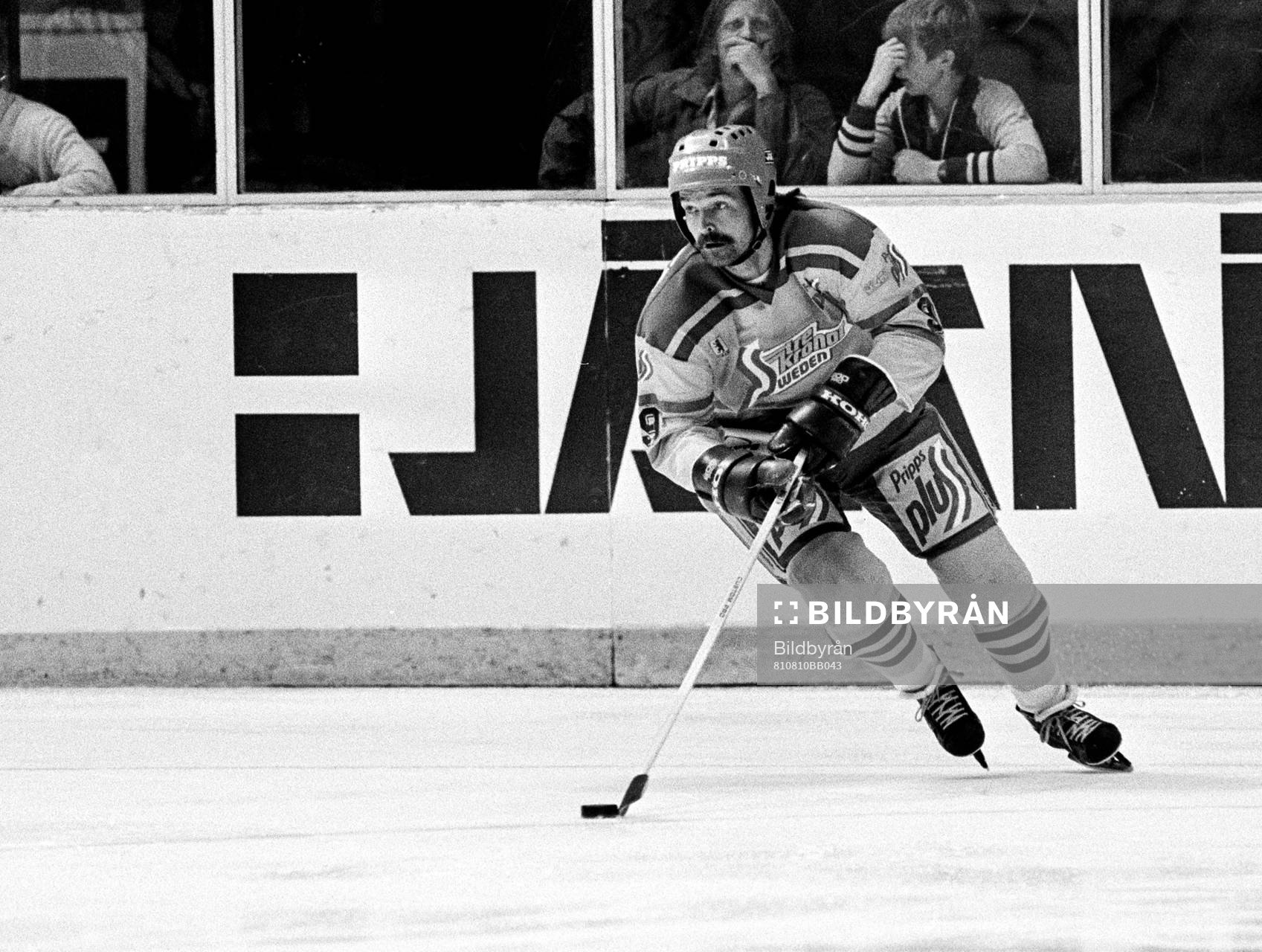 Mats Waltin, Sverige