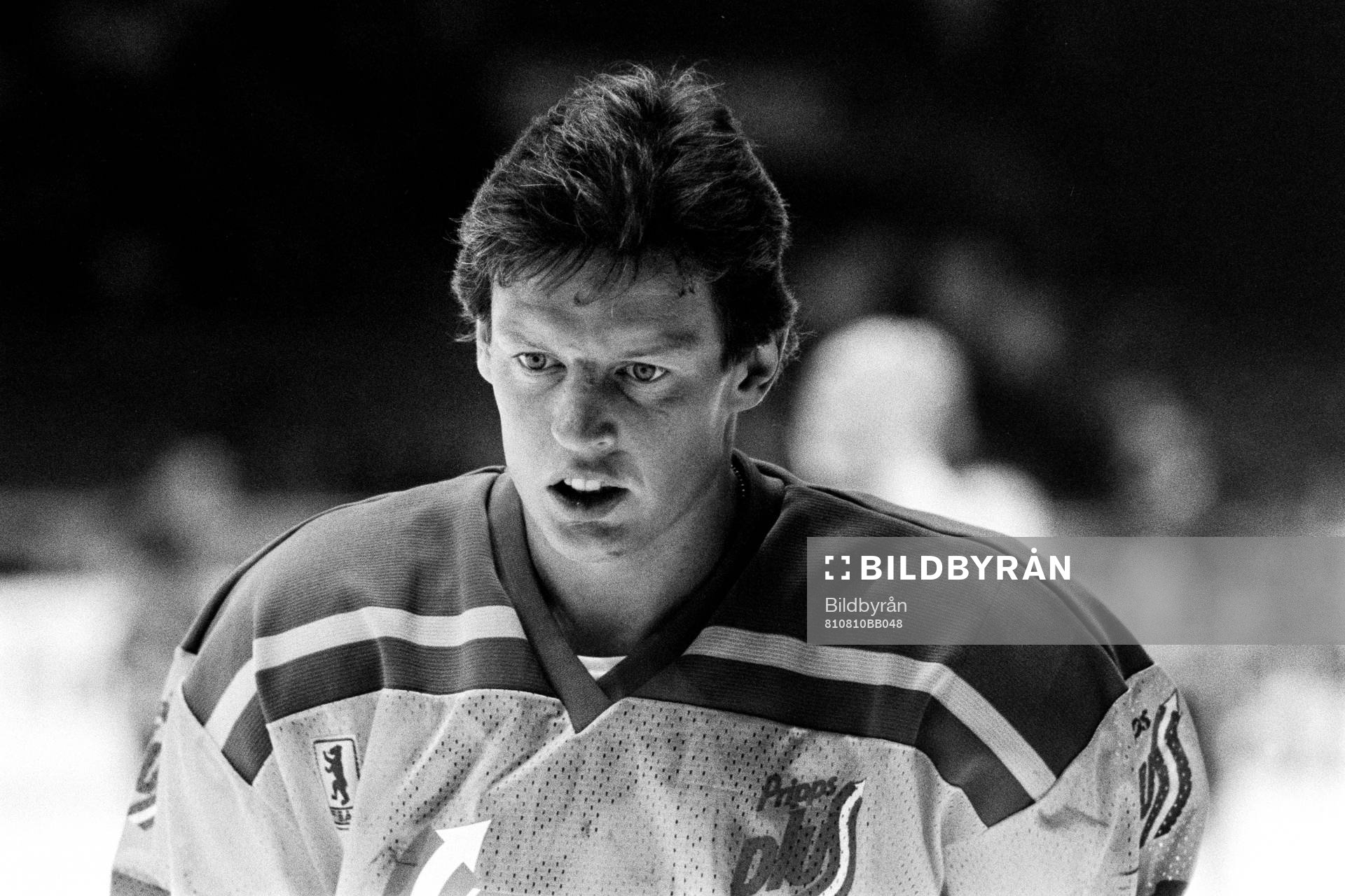 Ulf Nilsson, Sverige