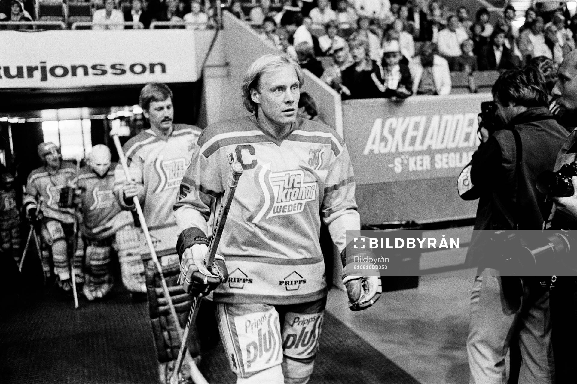 Anders Hedberg, Sverige