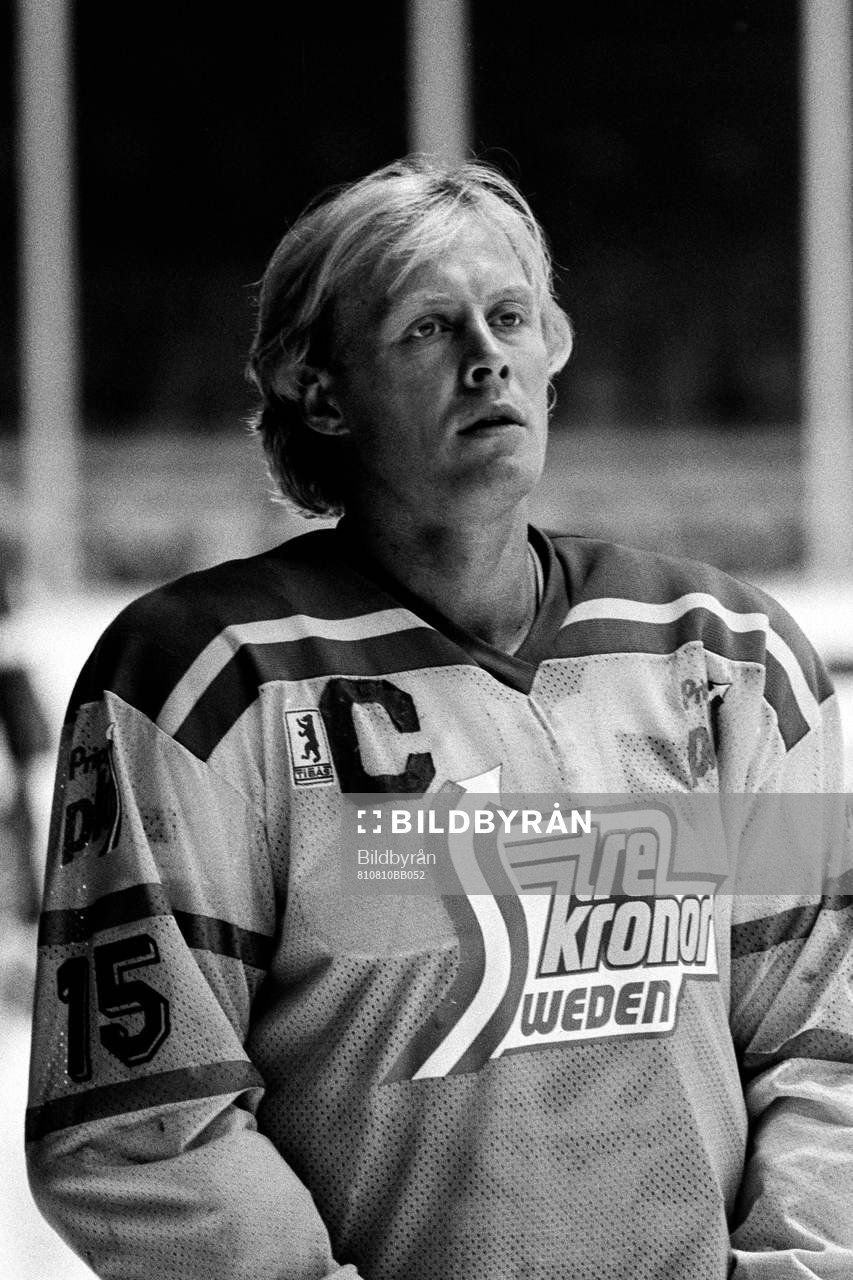 Anders Hedberg, Sverige