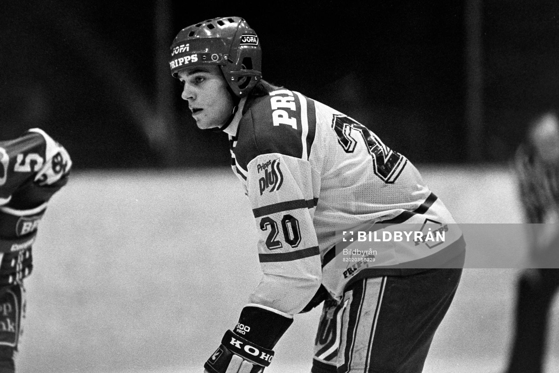 Jan Erixon, Sverige