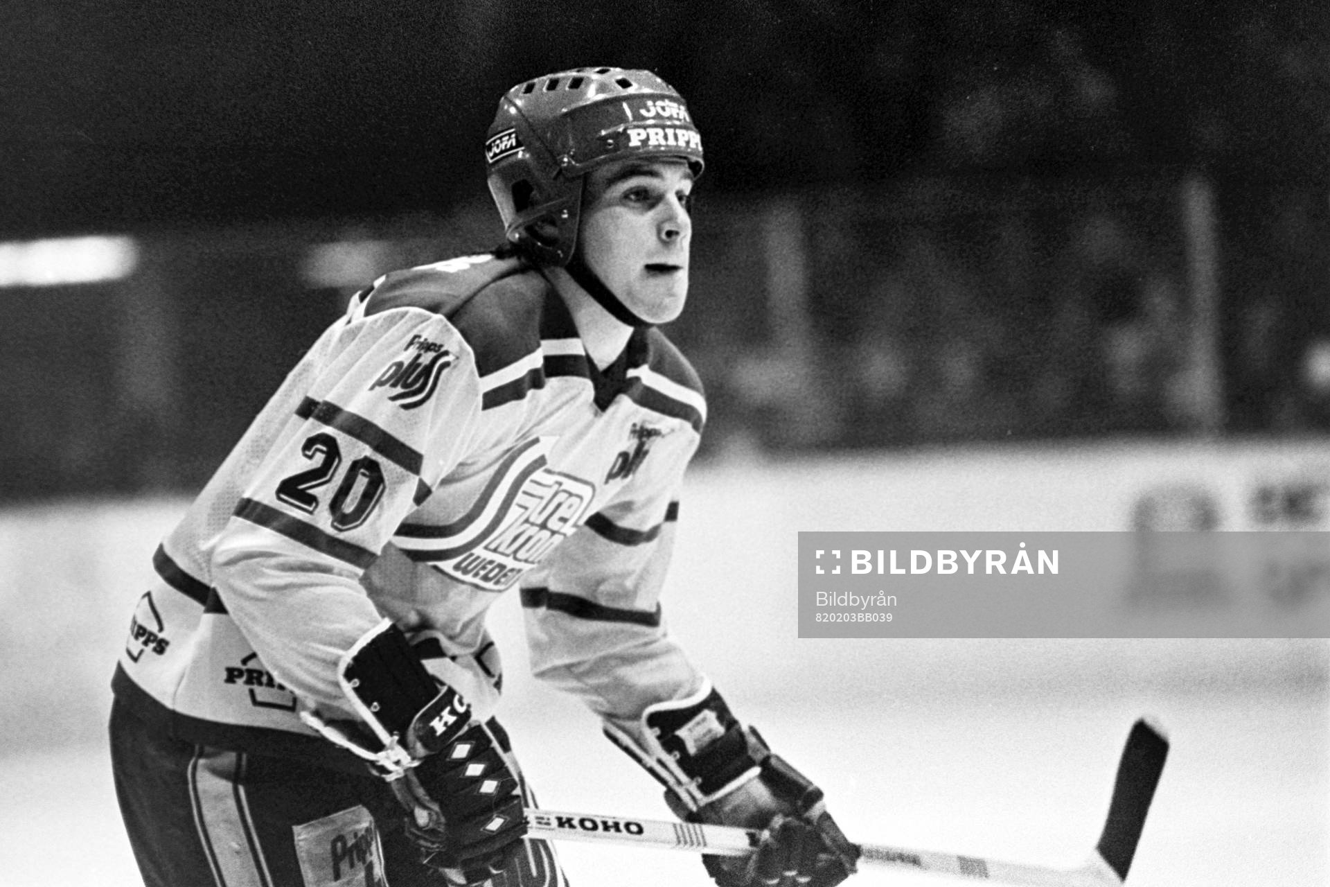 Jan Erixon, Sverige