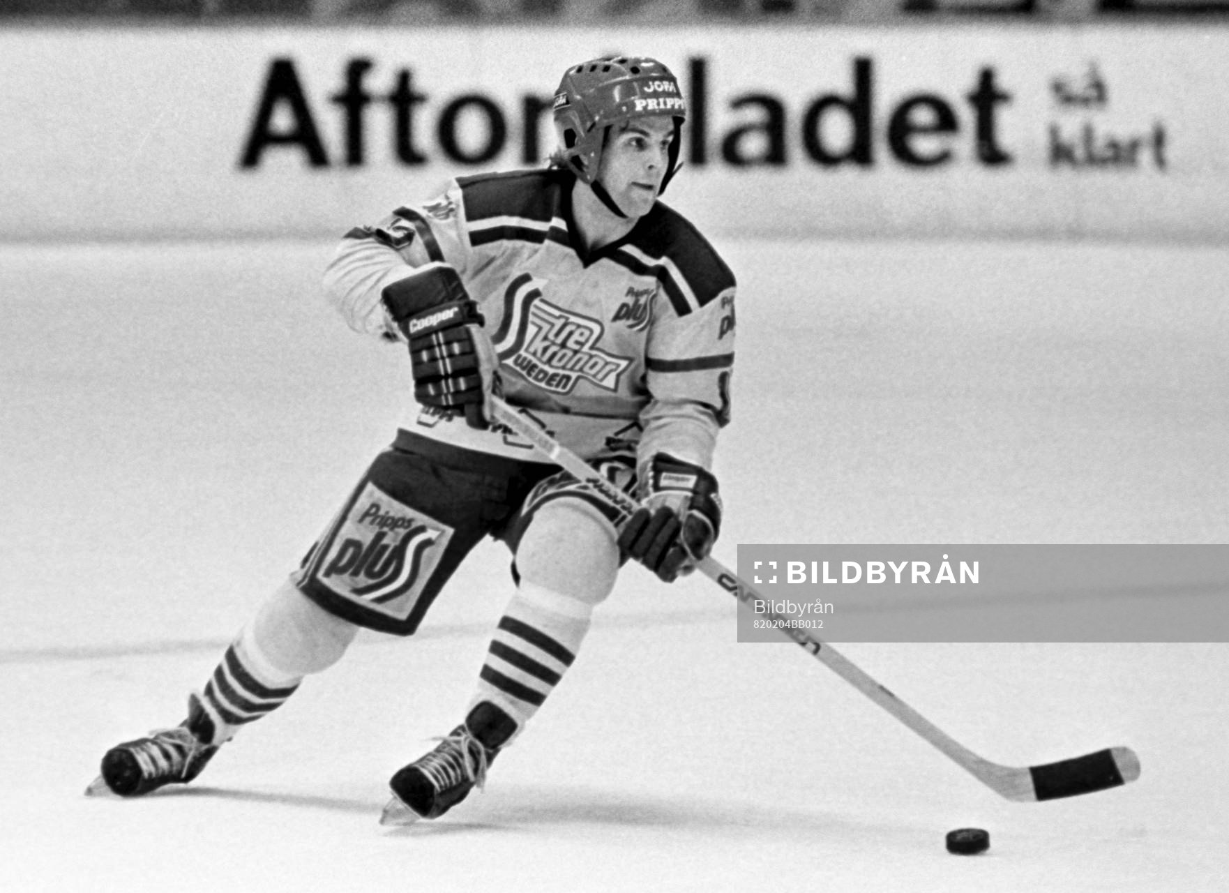 Mats Ulander, Sverige