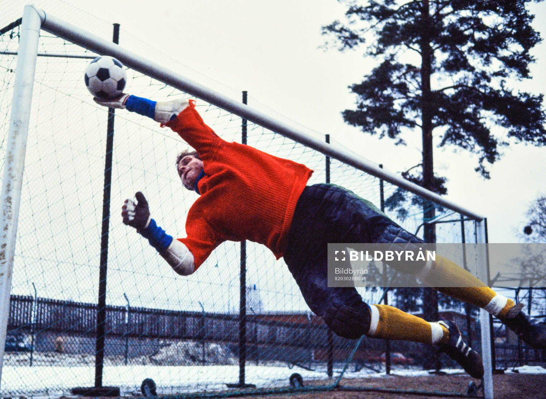 Thomas Ravelli