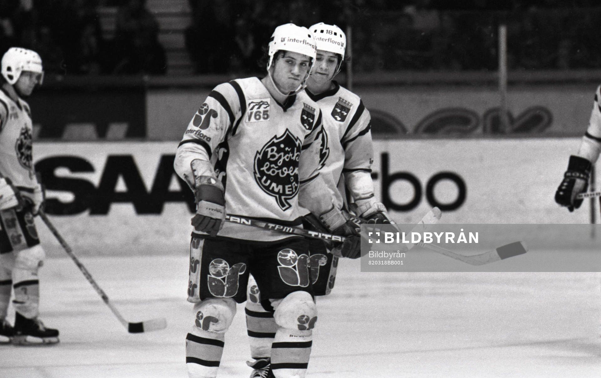 Peter Sundström och Patrik Sundström, Björklöven