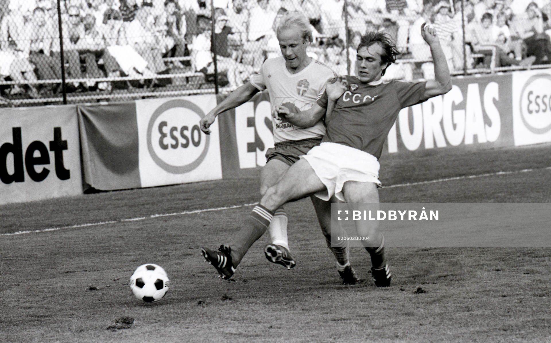 Tord Holmgren