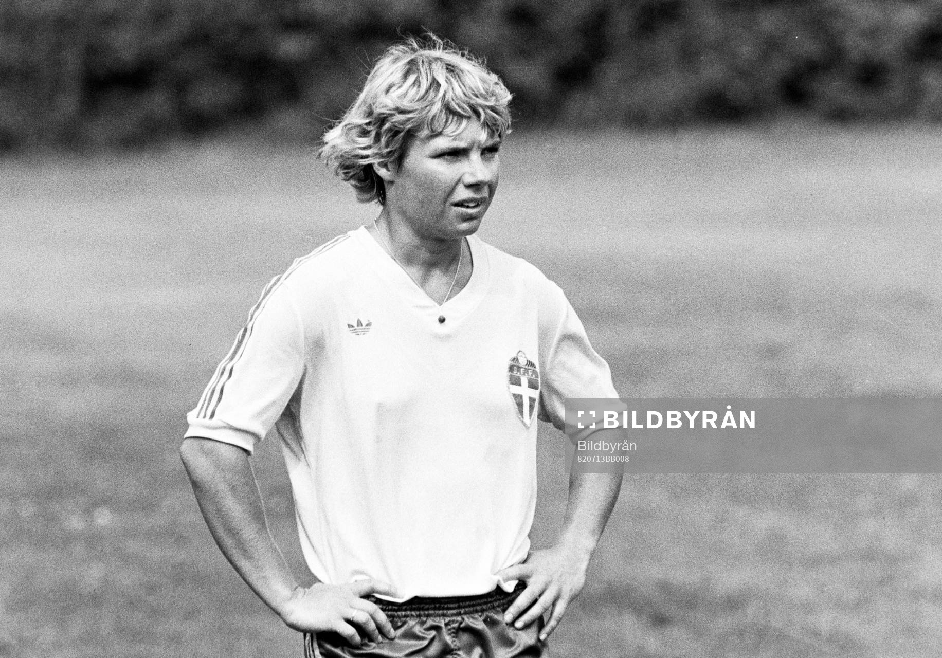 Ann Jansson, Sverige