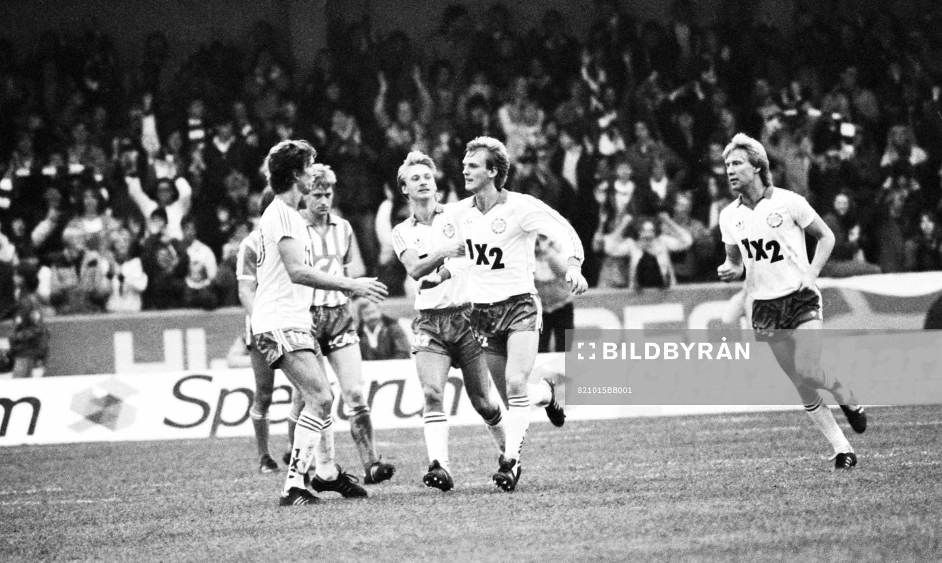 Hammarby, jubel, glädje