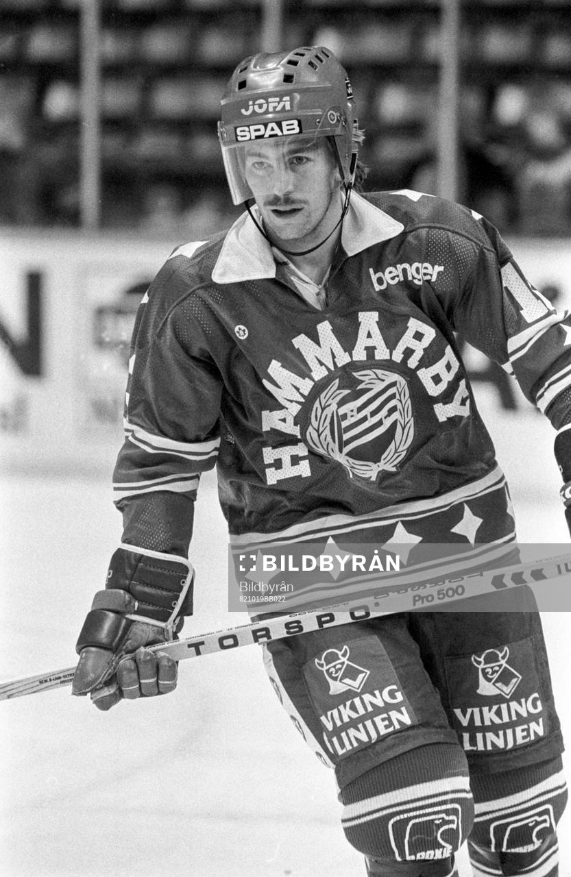 Håkan Hjerpe, Hammarby