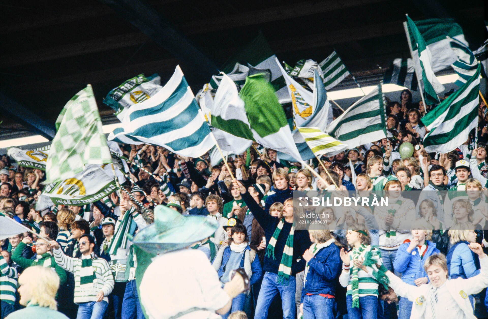 Hammarbyklacken på Söderstadion