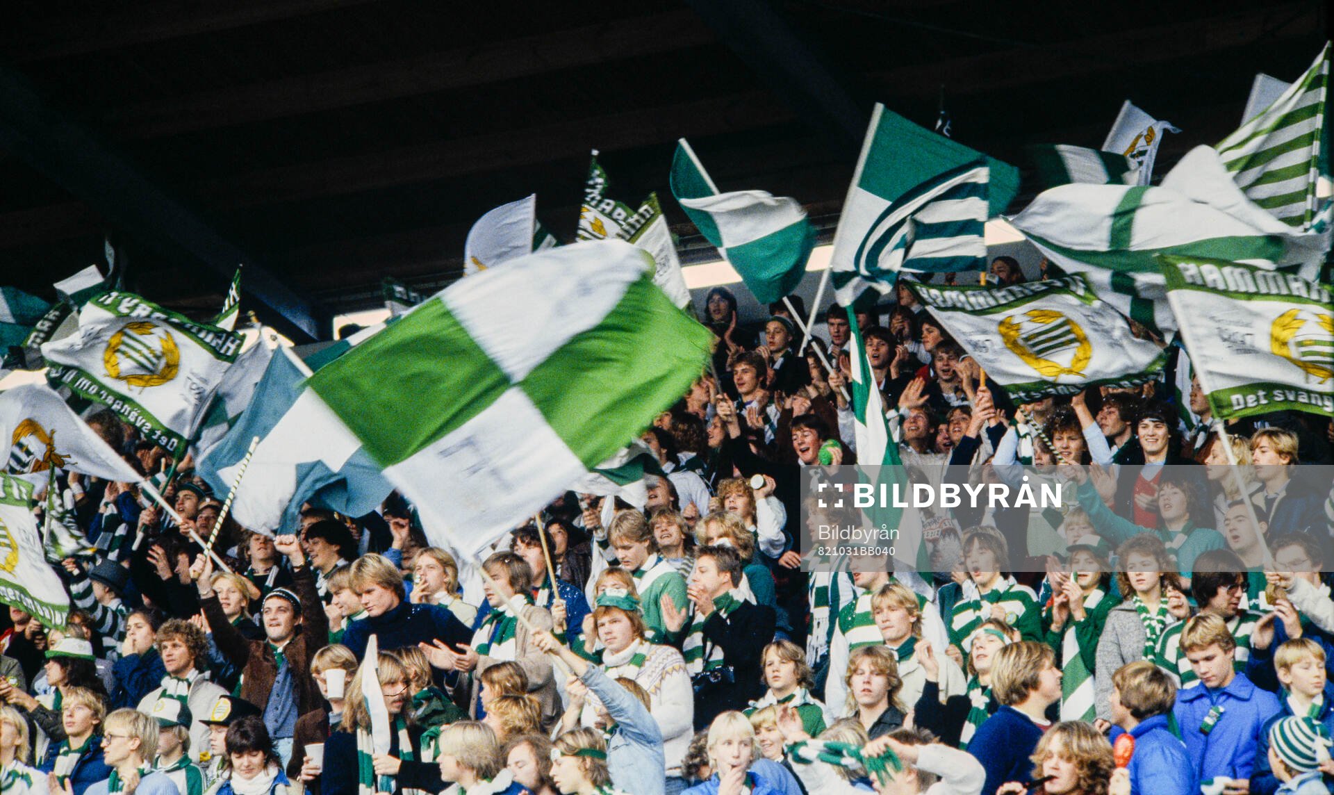 Hammarbyklacken på Söderstadion