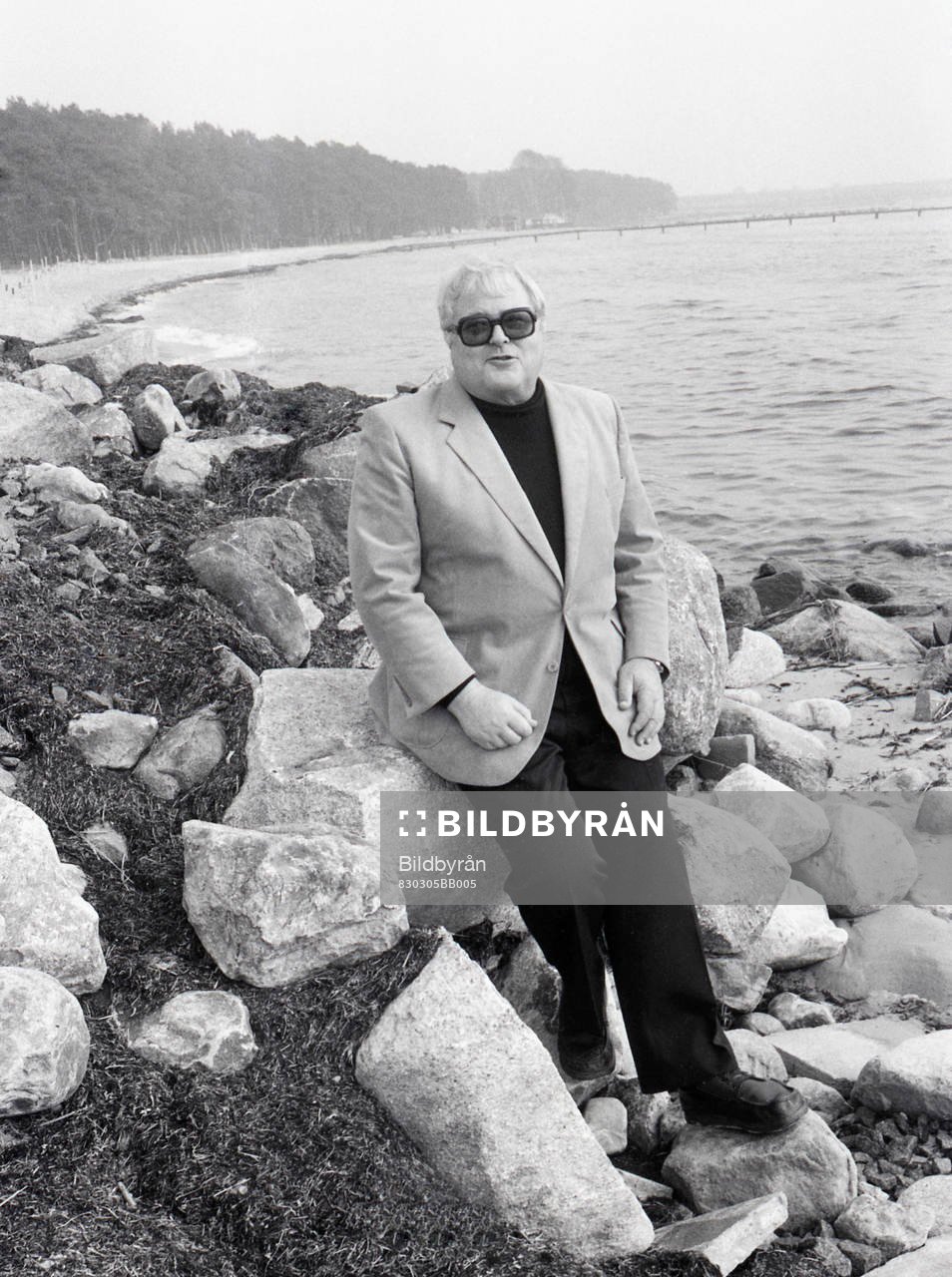 Tore Brodd, Ordförande Svenska Fotbollförbundet, SvFF