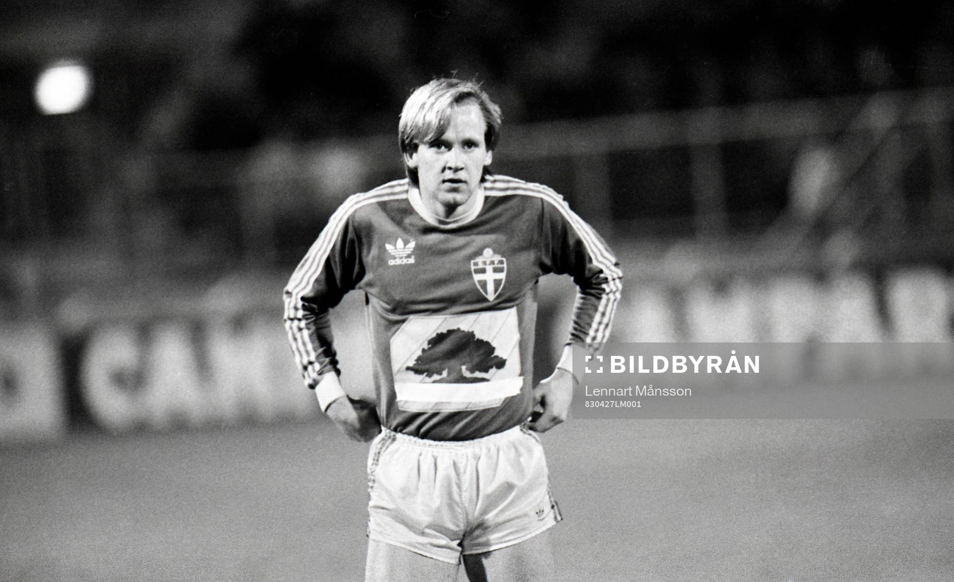 Dan Corneliusson, Sverige
