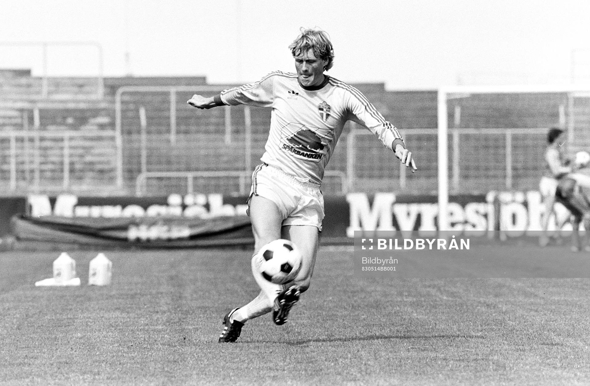 Håkan Sandberg, Sverige
