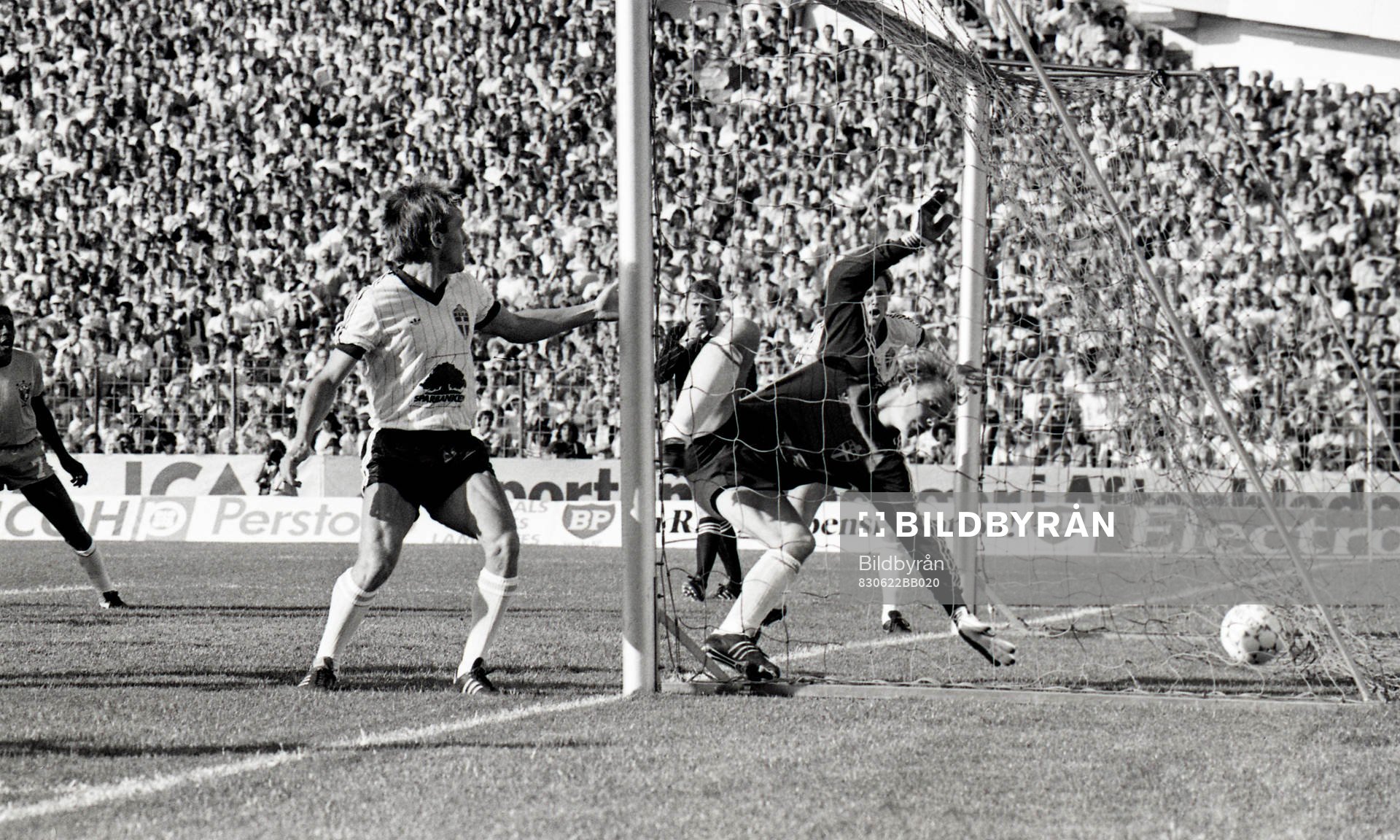 Thomas Ravelli