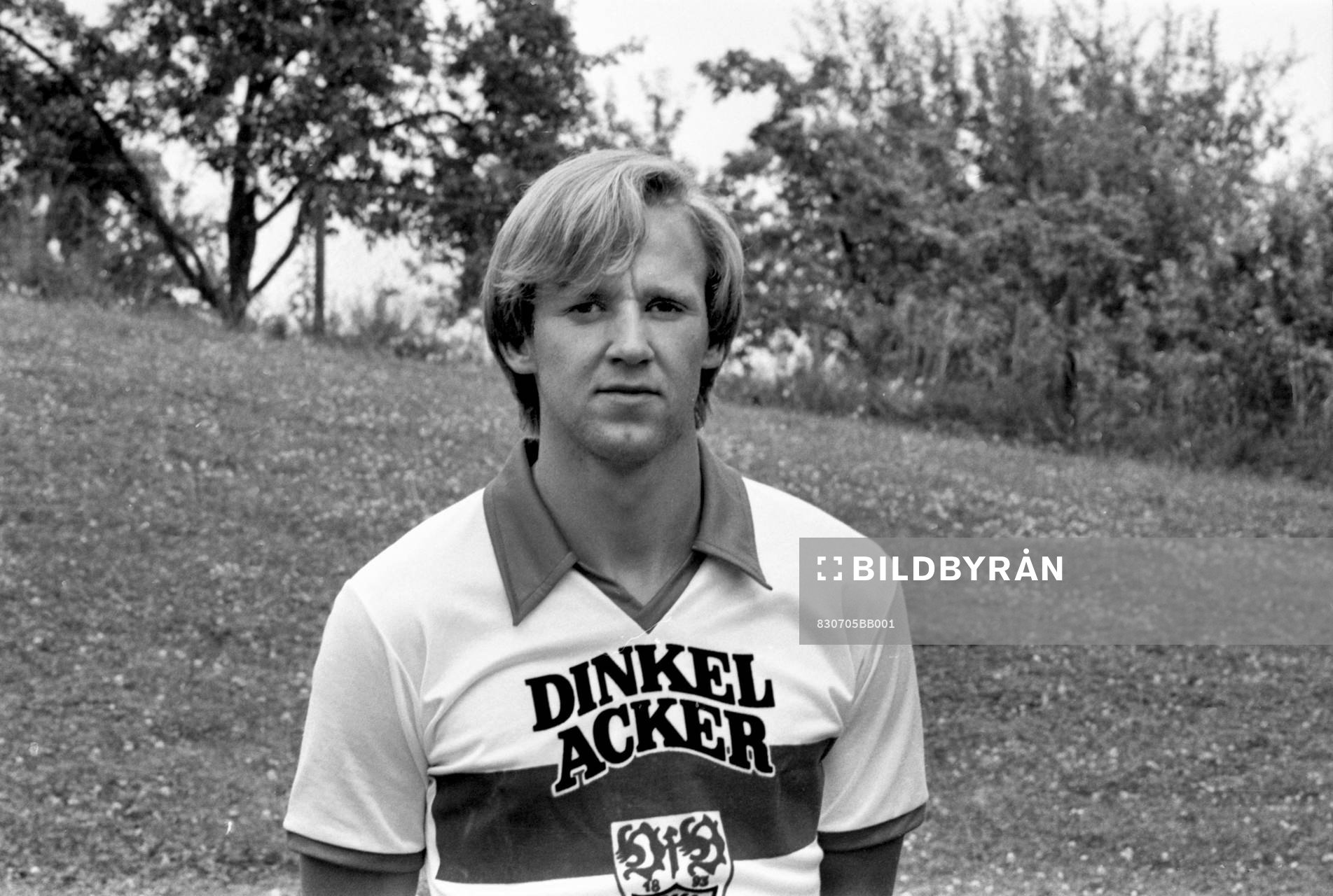Dan Corneliusson