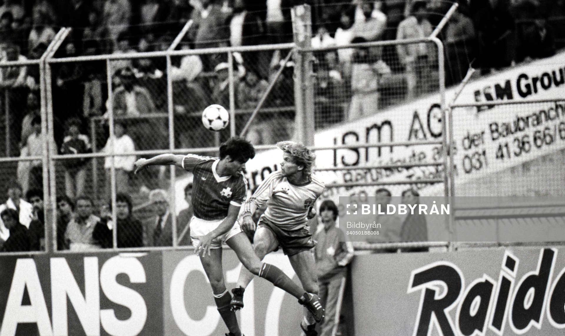 Mats Jingblad, Sverige